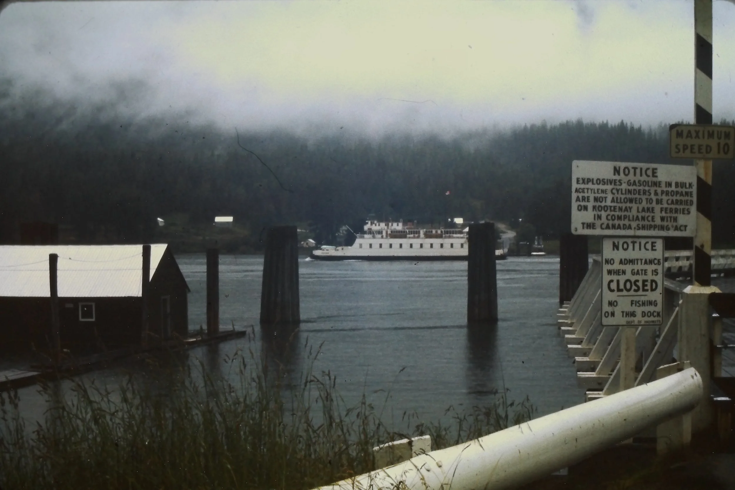 IMAG0017.JPG