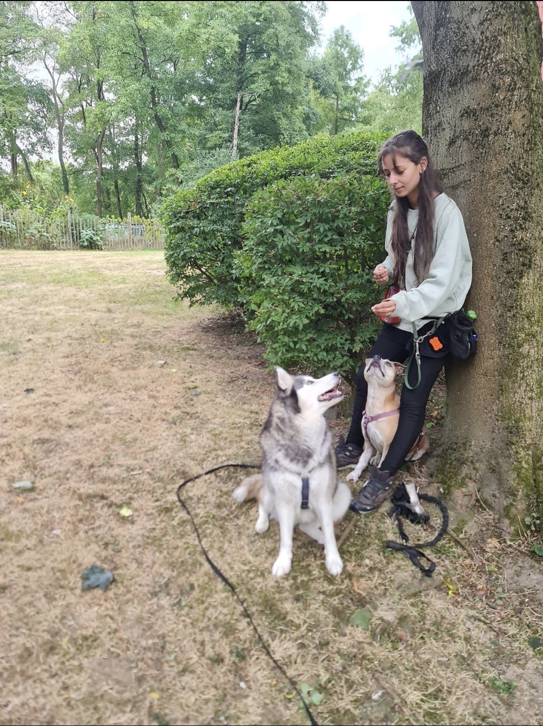 Une jeune femme avec deux chiens, un husky et un bouledogue, se trouve près d'un arbre dans un parc, entourée de végétation.