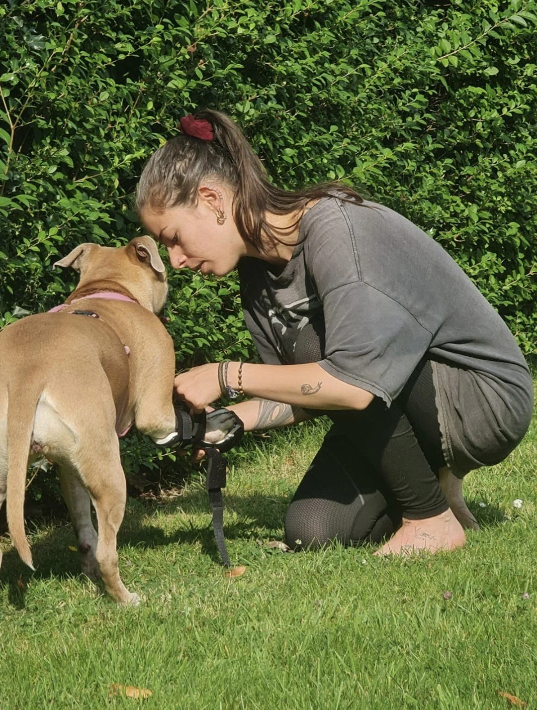 Une femme et un chien en contact étroit, la femme est à genoux sur l'herbe, tête inclinée vers le chien qui se trouve devant elle. L'arrière-plan est constitué d'arbustes verts.