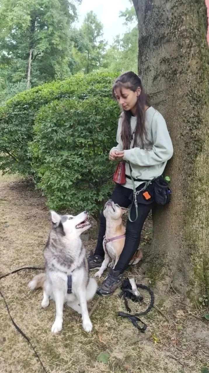 Une jeune femme avec deux chiens, un husky et un autre chien de taille moyenne, dans un parc arboré, près d'un grand arbre, semble donner des ordres ou attendre quelque chose.
