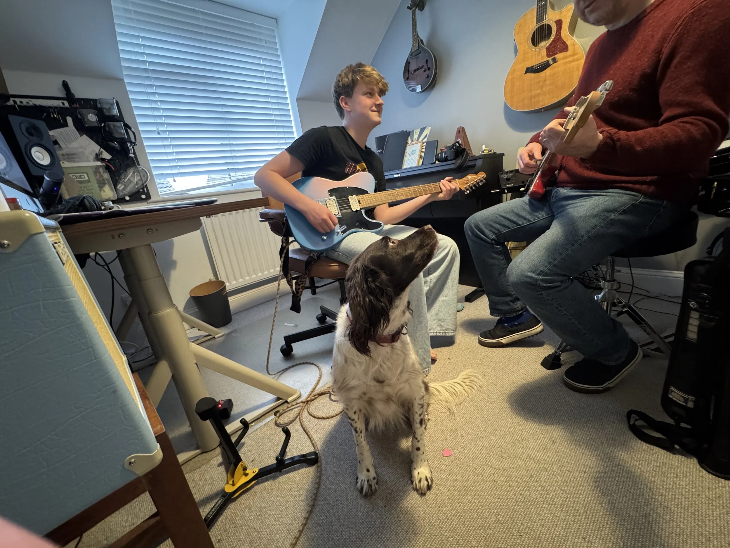A young man sitting in a room playing an electric guitar, with a dog sitting on the floor looking up at him, and another person sitting nearby playing an acoustic guitar. The room has guitars hanging on the wall and recording equipment on a desk.