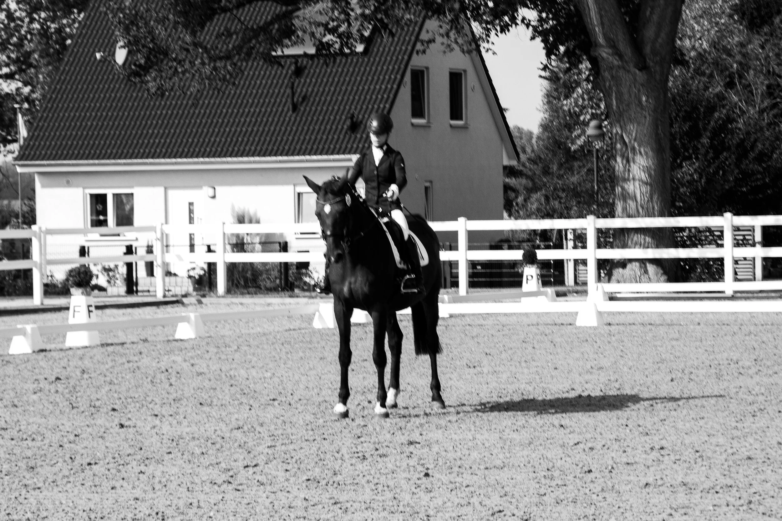 Reiterin auf schwarzem Pferd im Dressurtraining, schwarz-weiße Aufnahme in einer Reitplatz-Umgebung, mit Haus und Bäumen im Hintergrund.