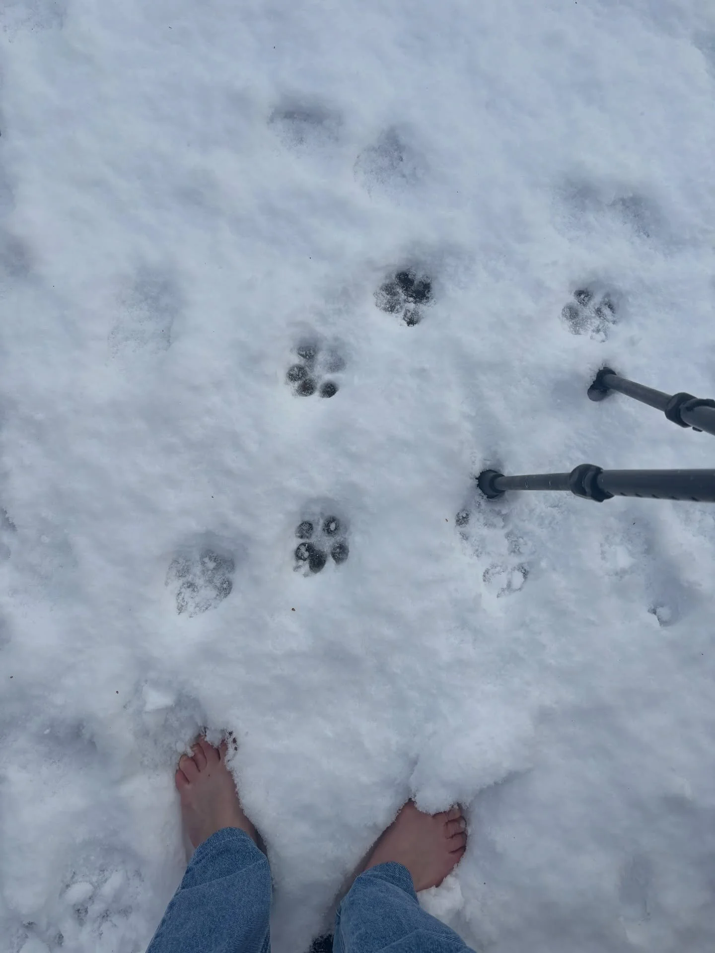 January felt like a whole year. 
Heavy. 
Loud. 
Quiet in the wrong places.
Creative. 
Me, being in and out of home office 
while the world kept freezing - outside and inside. 
A lot of &bdquo;Weltschmerz&rdquo;, realising I&rsquo;m dealing with depre