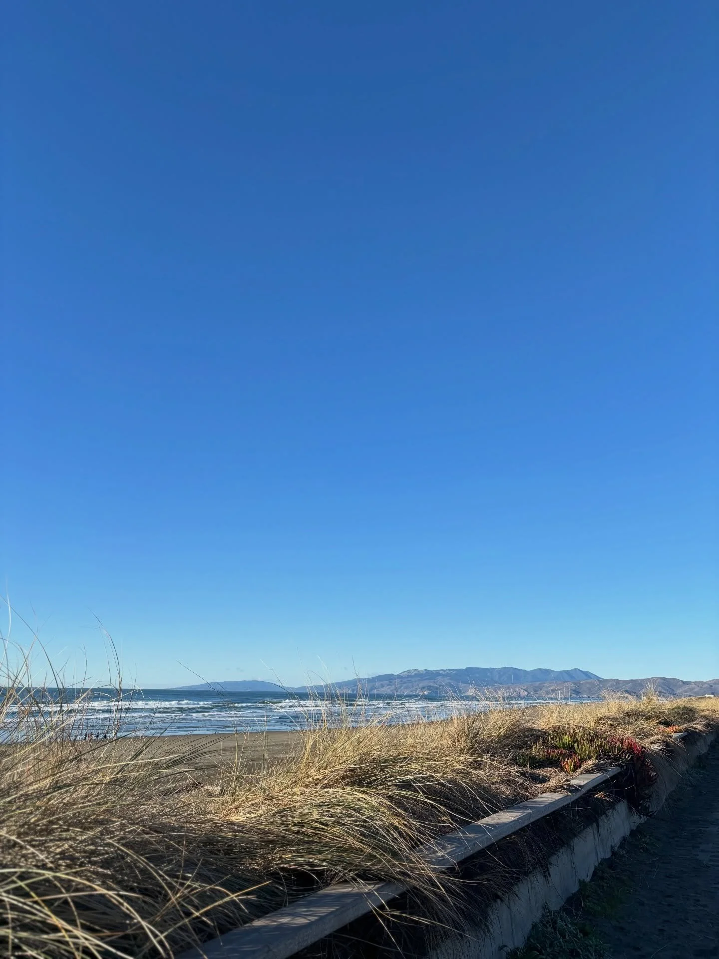 SAN FRANCISCO | CHRISTMAS &amp; NEW YEARS | ✨

Just utterly thankful! ❤️

#buntehunde
#vielfaltbewegtdiewelt 
#mentalhealthrecovery #mentalhealthisimportant #gef&uuml;hle disability disabilities disabilityawareness cerebralpalsy cerebralpalsyawarenes