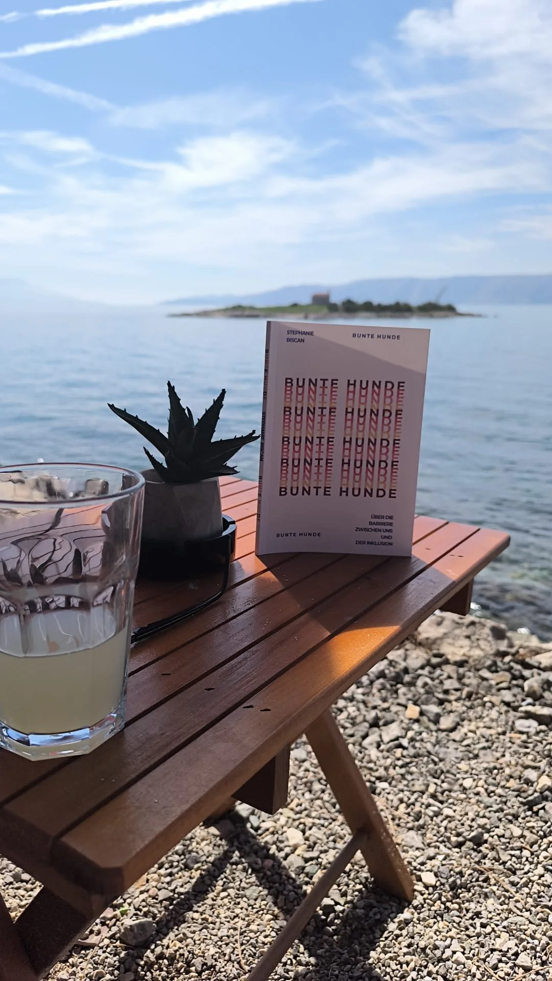 Ein Holztablett mit einem Glas Zitronenlimonade, einer Kaktuspflanze in einem schwarzen Topf und einem Buch mit Titel 'Bunte Hunde' mit Blick auf See und Berge im Hintergrund.