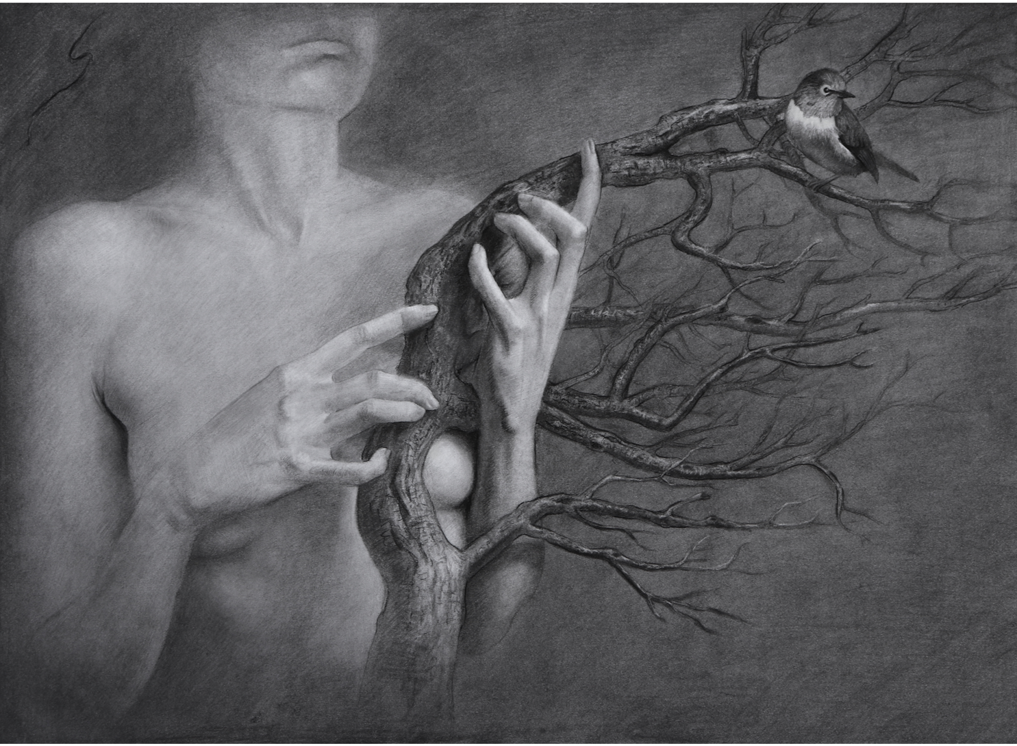 I feel you breathing, Charcoal and graphite on paper, 65 x 50cm, 2022