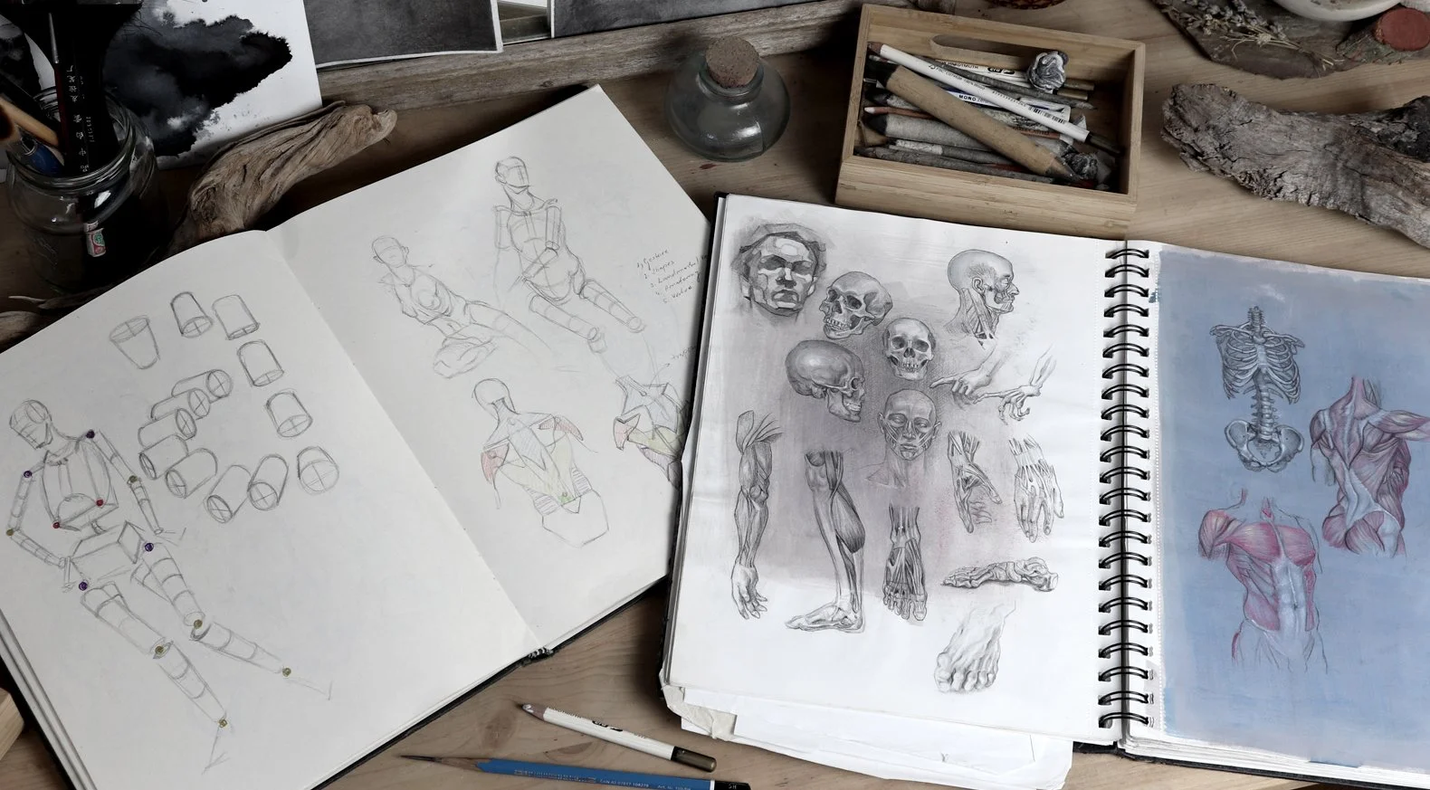 Artistic workspace with sketchbooks open displaying figure drawing, anatomical studies, and sketches of skulls; surrounded by drawing tools, charcoal, and natural wood pieces.