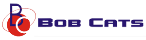 Bob Cats Insurance