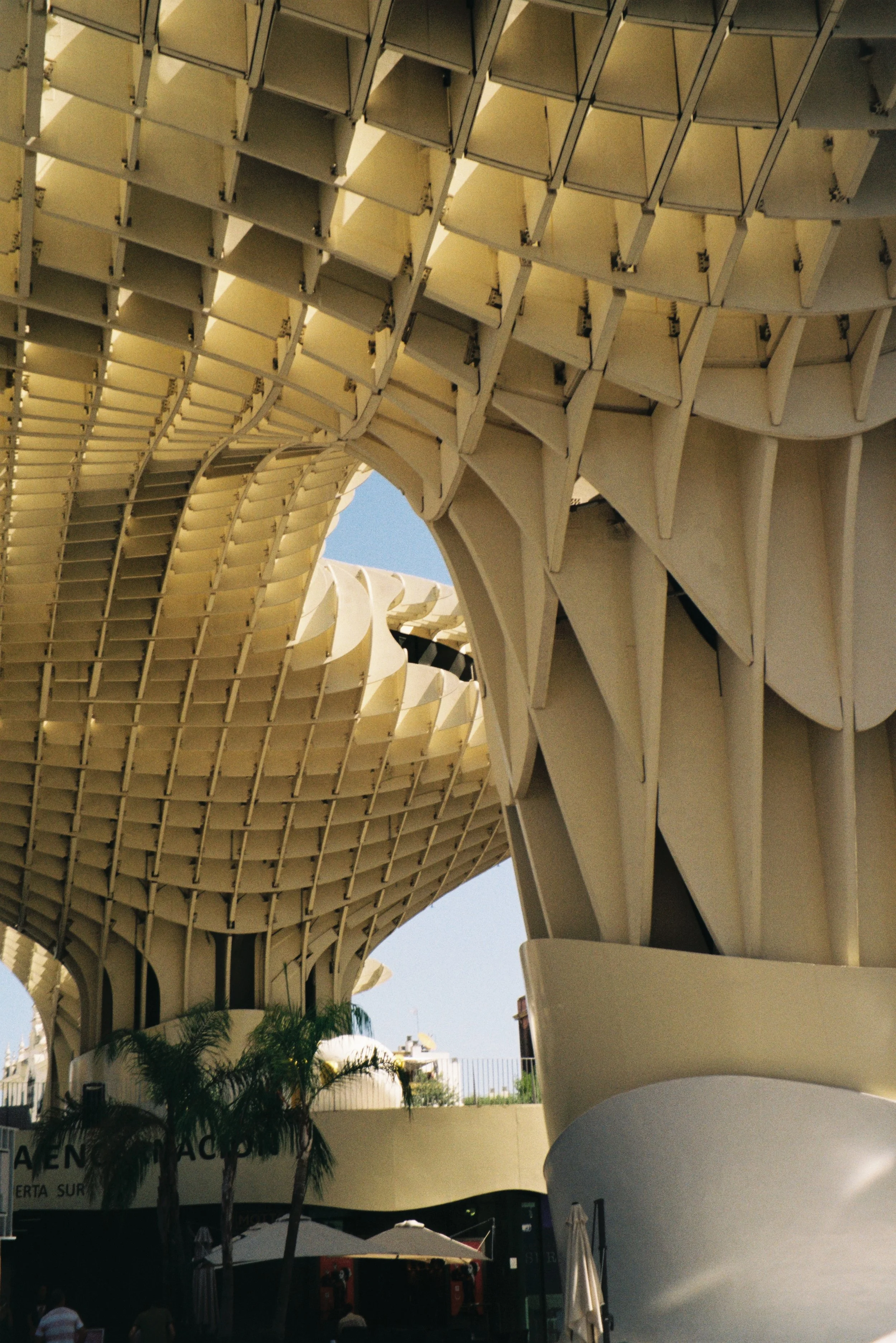 Sevilla 2025