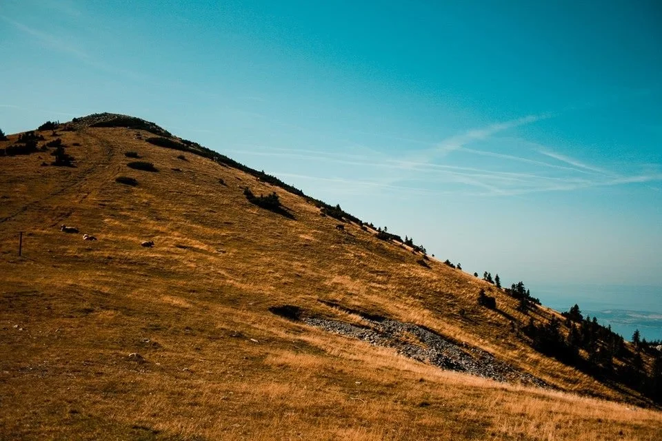Velebit 2017