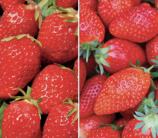 Capture d’écran 2026-02-01 à 20.03.41.png