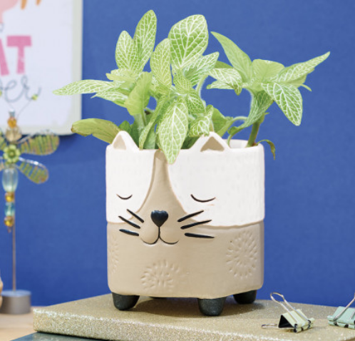 Capture d’écran 2026-02-01 à 20.04.21.png