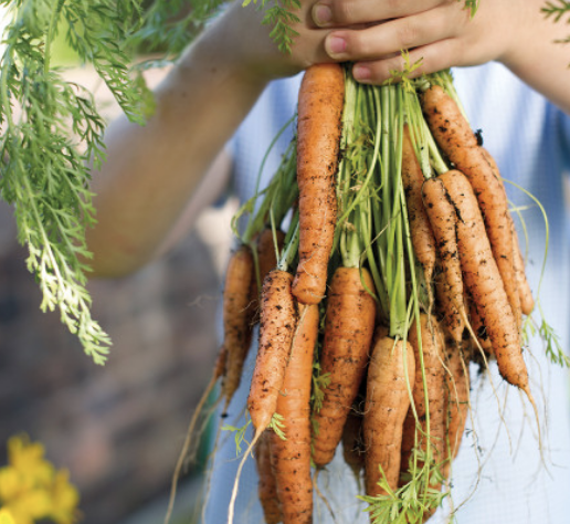 Capture d’écran 2026-02-01 à 20.04.02.png