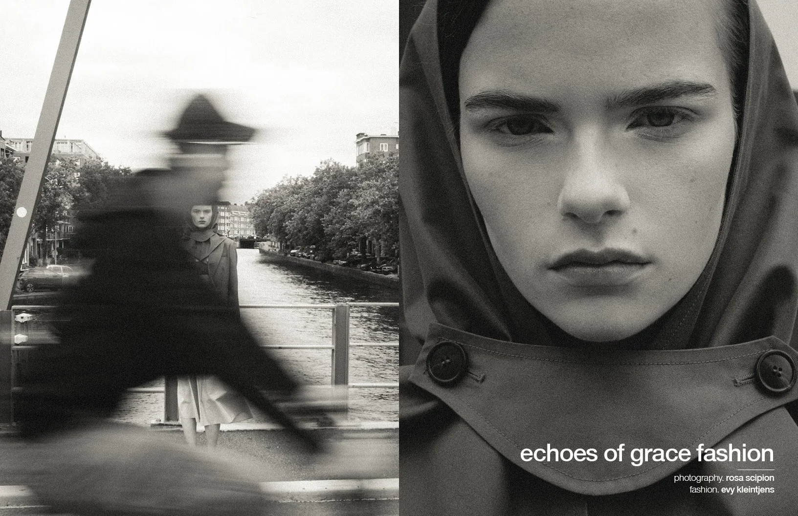 schön publication1.jpg