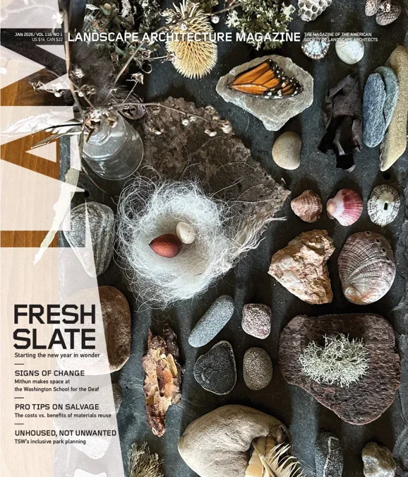 A Landscape Architecture Magazine cover featuring a flatlay of various rocks, shells, and natural objects arranged on a dark surface.
