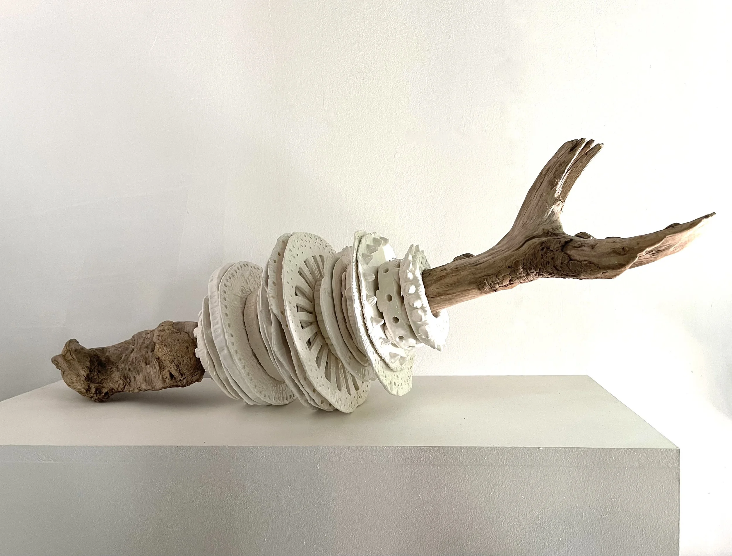 A mixed media art sculpture featuring a piece of driftwood with white ceramic plates stacked and arranged on top of it.