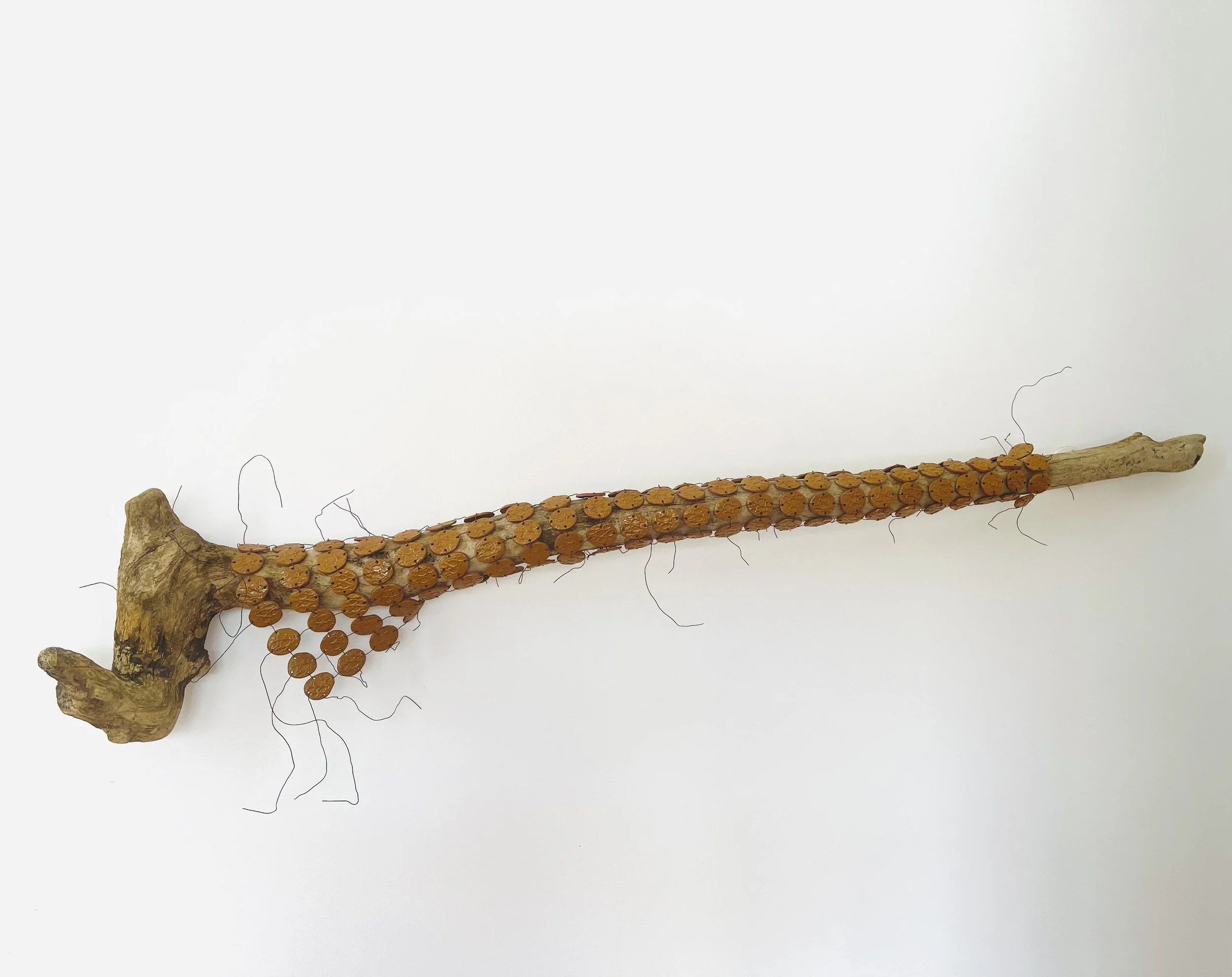 A long stick with a branch attached to one end is covered in a mass of orange-brown insects.