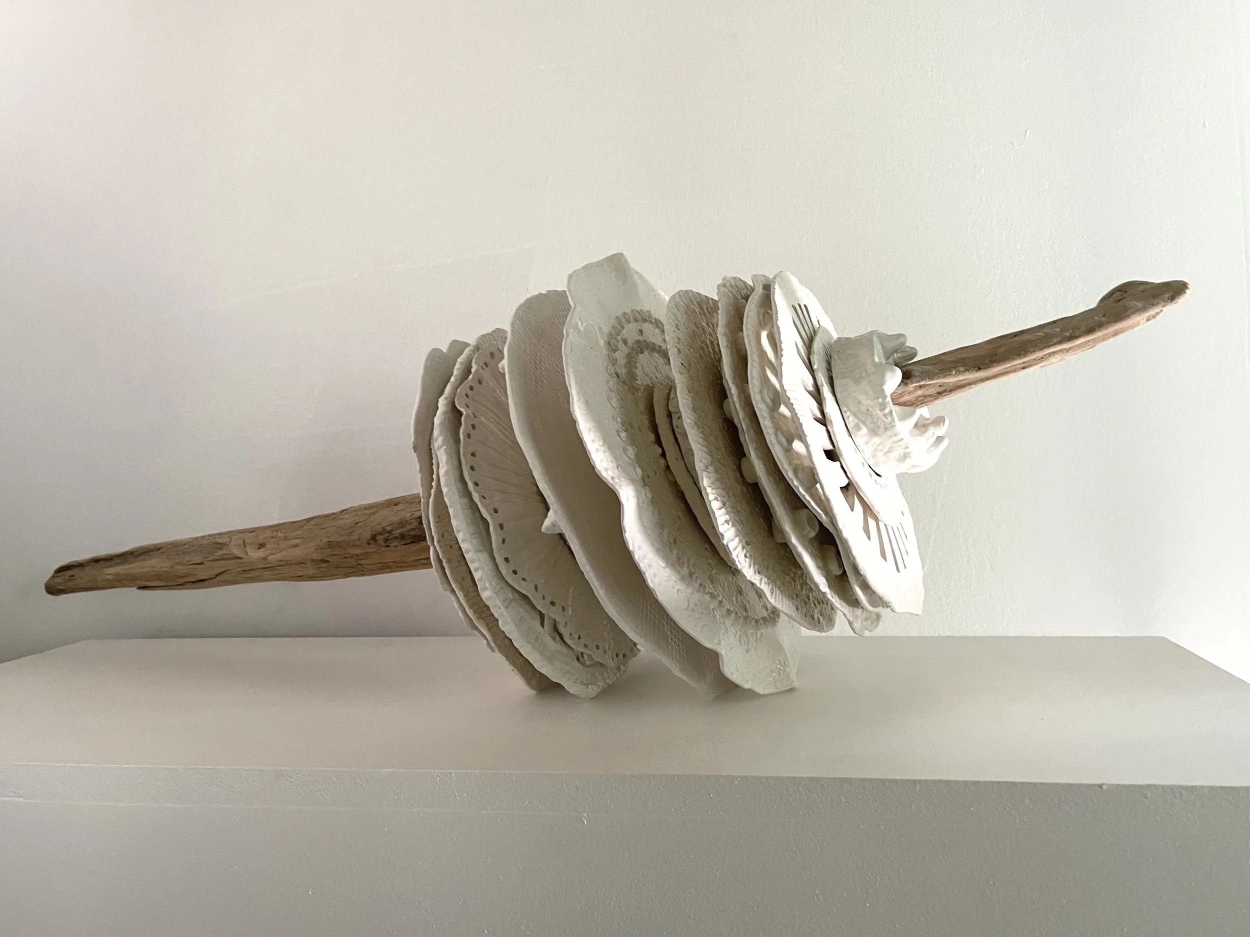Art installation of a vertical driftwood piece with multiple white seashells mounted on it, displayed on a white shelf against a plain white wall.
