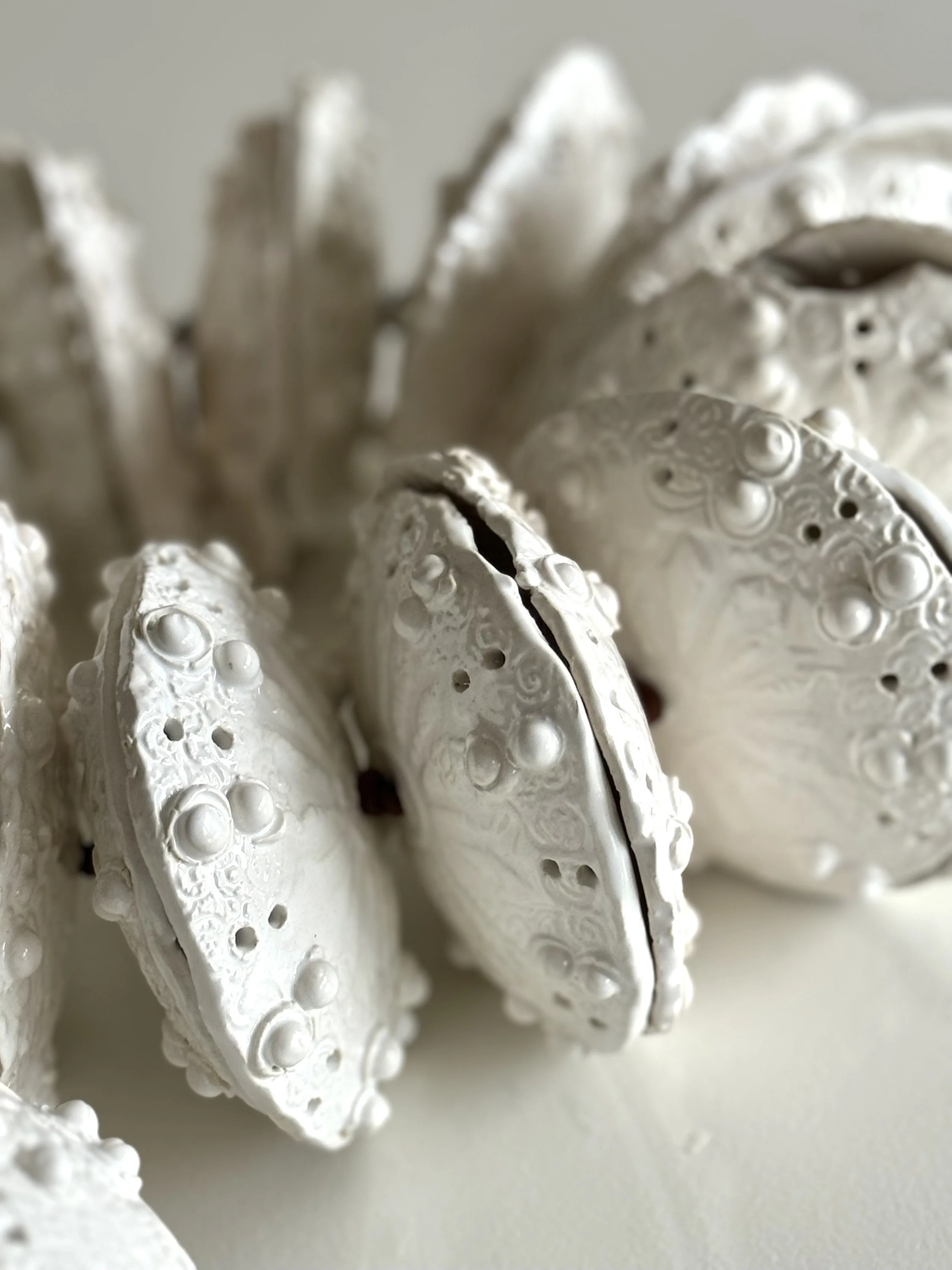 Close-up of several white, textured, spherical objects with bumpy and ornate patterns, resembling decorative shells or ornaments.