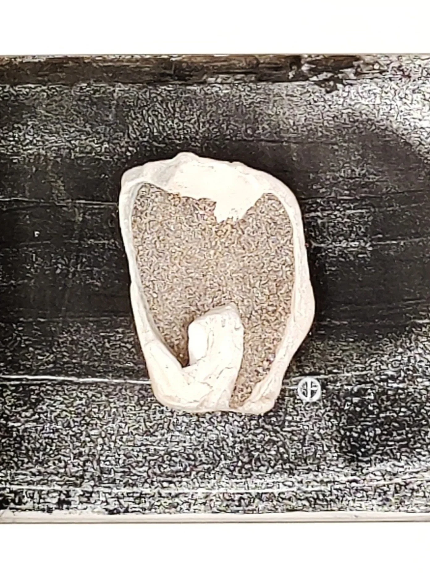 ECLECTIC "ÉCHO D’OCÉAN"