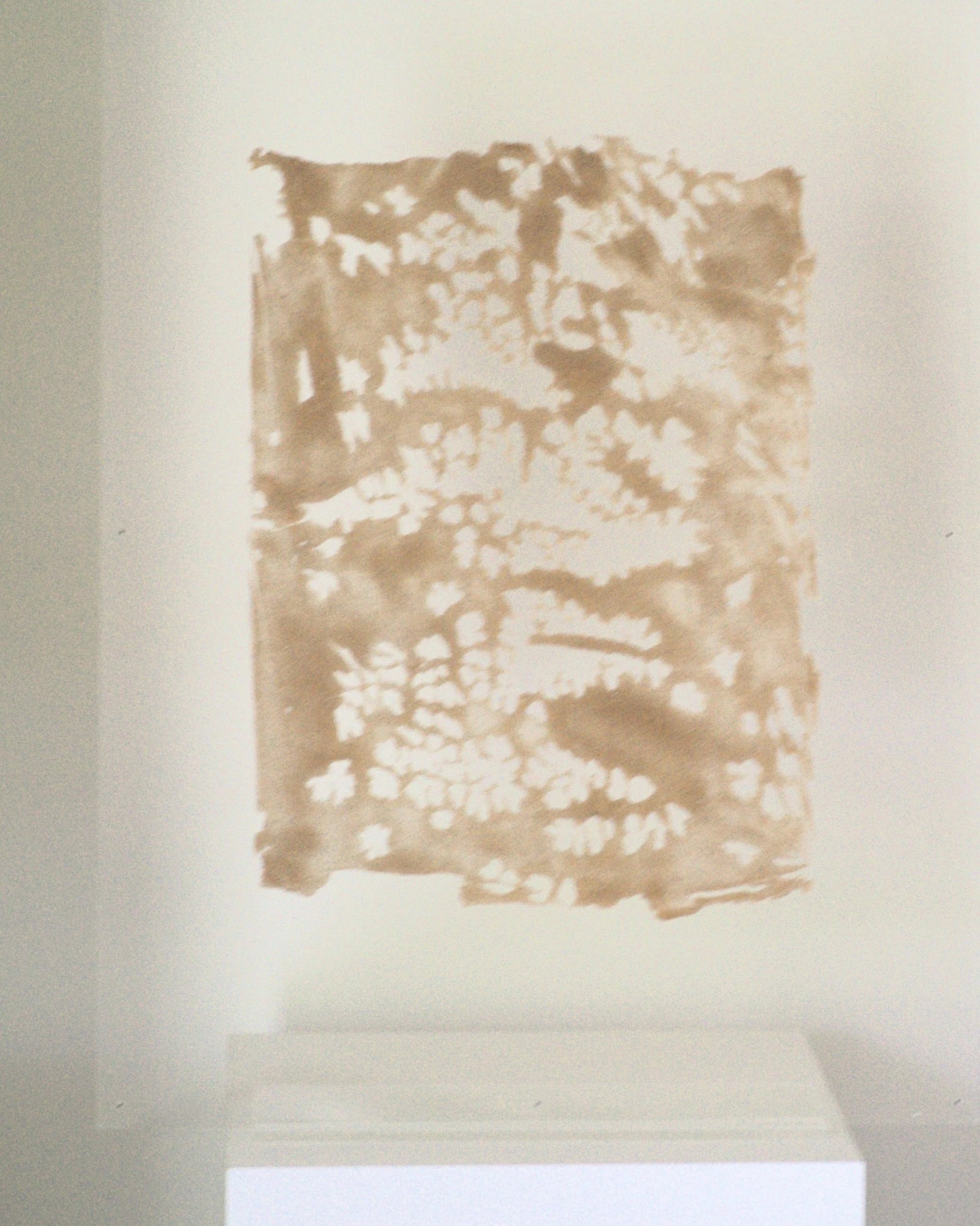 LACE  "POINT DE SABLE"  ColD 22472              Plexi frame 60 X 44CM