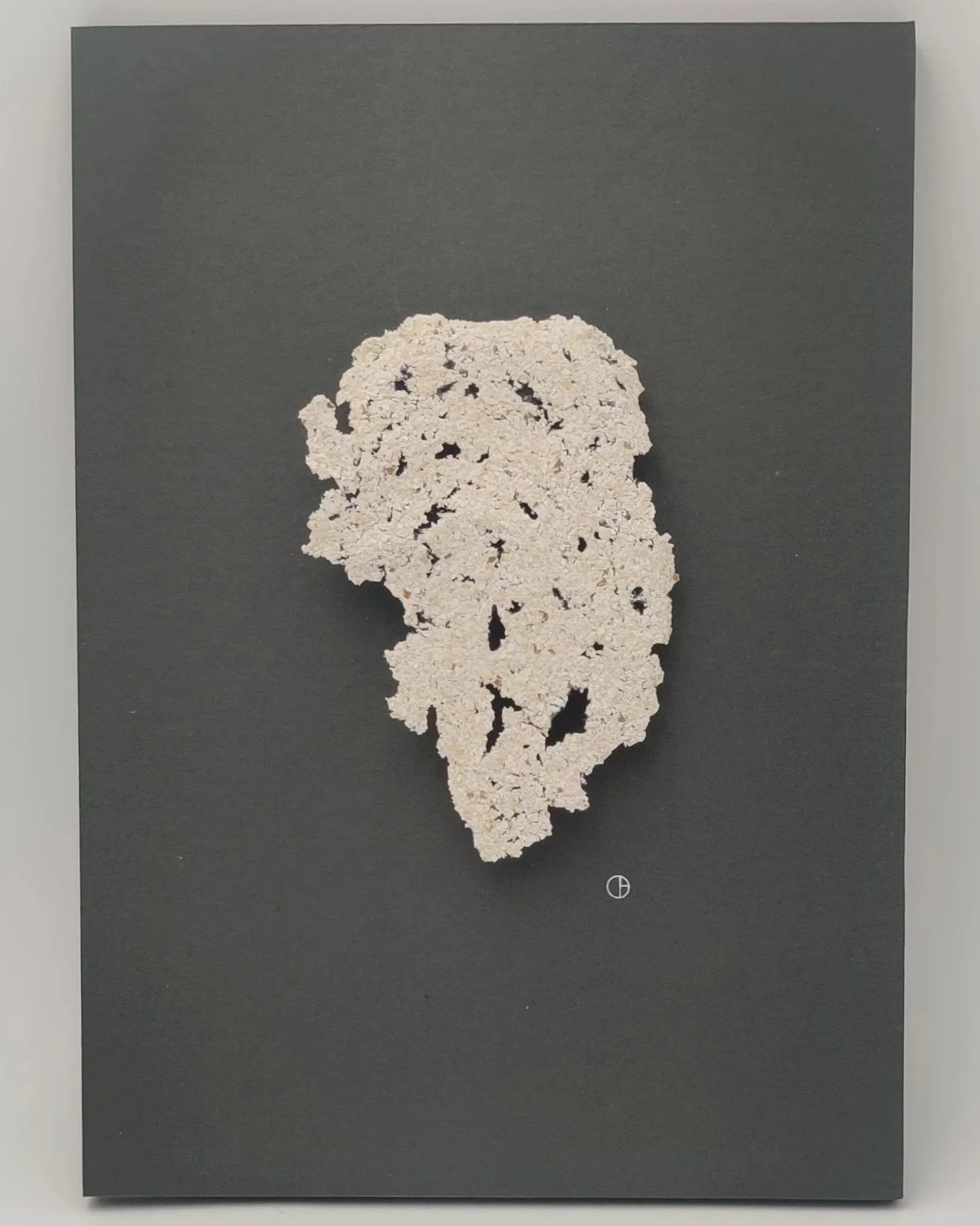 LACE  "COQUILLE" 
Origin: eggshell 
Dimensions:  	36 x 26 x 5CM			
Frame: plexiglass frame, Dark grey mount board  
