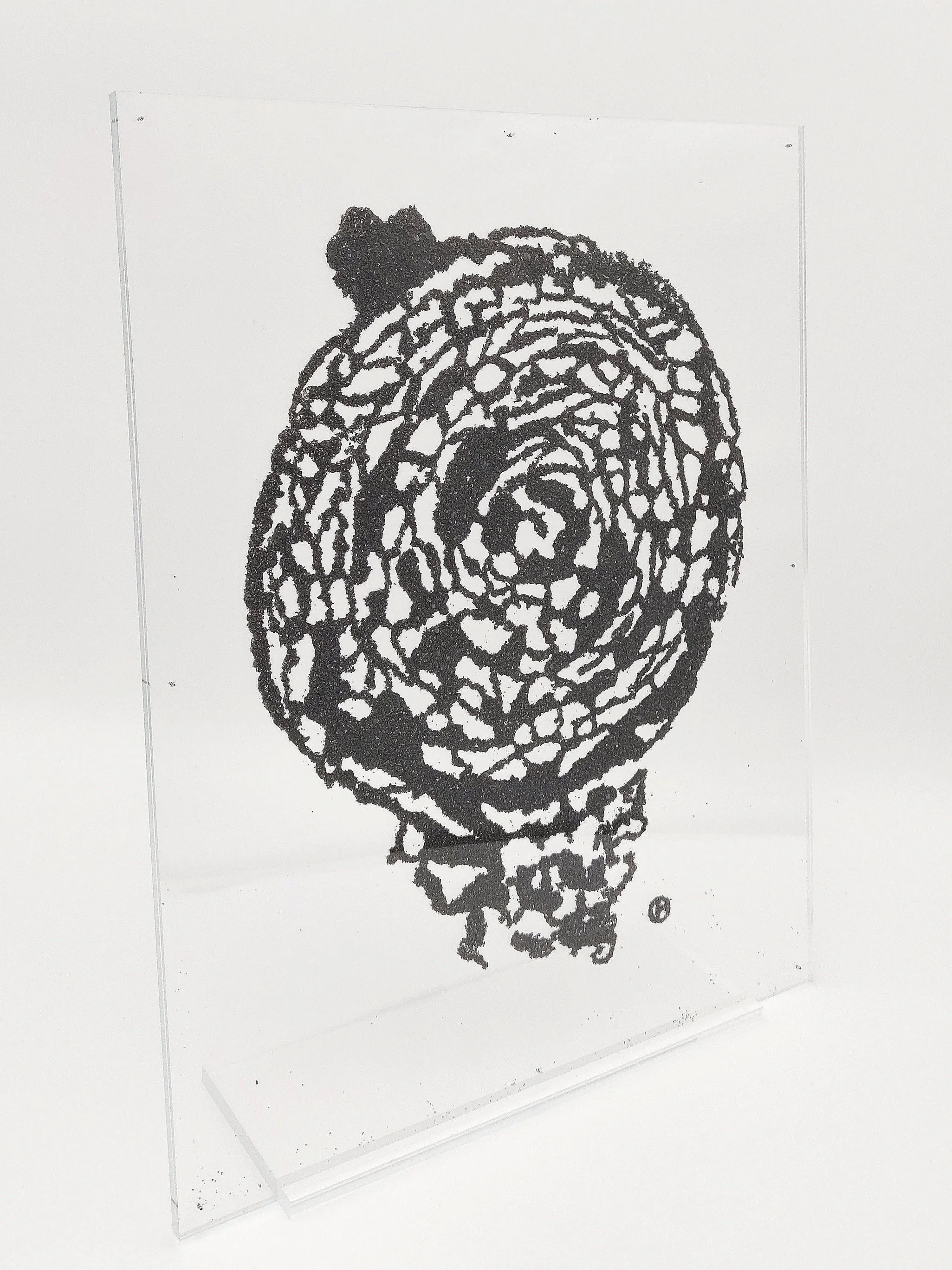 SERIES: LACE