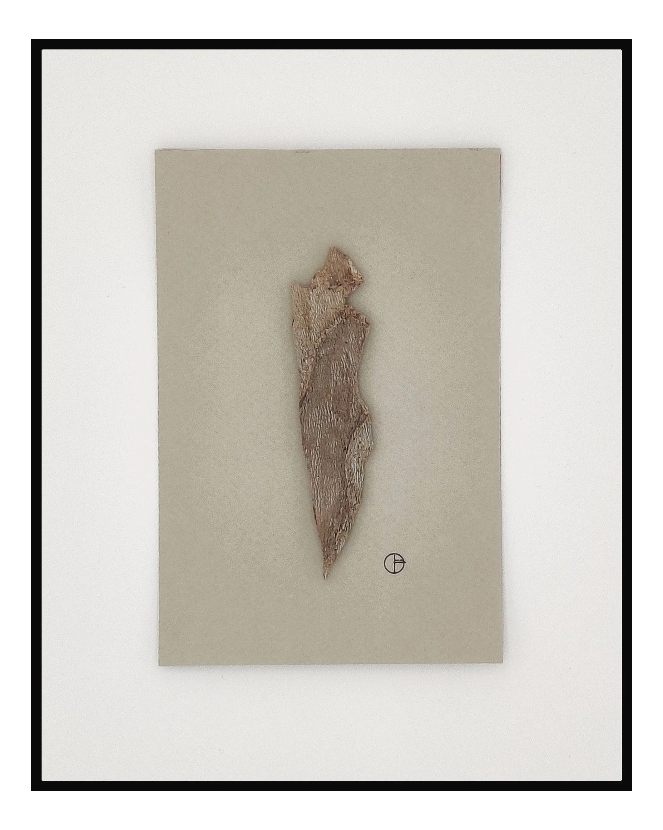 SERIES: ECLECTIC "DOUCEUR DE CALATAS "