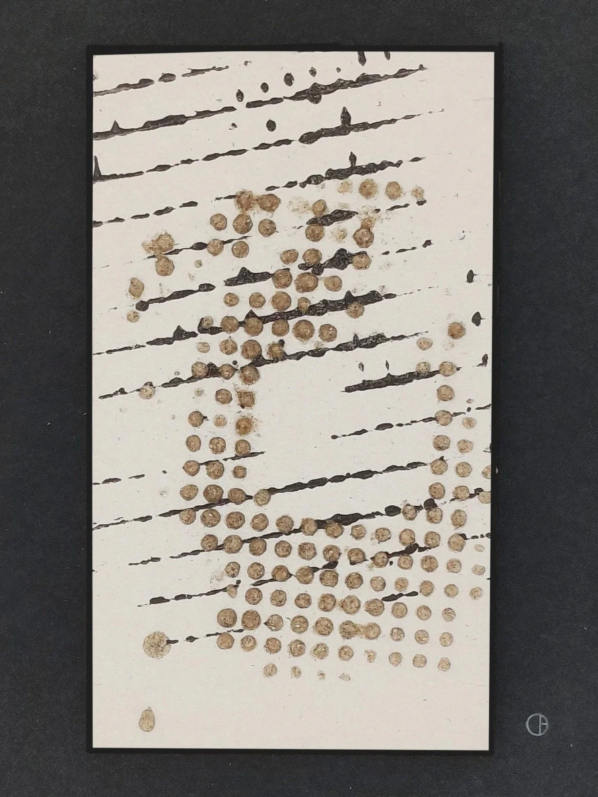 "SYMPHONY"     CoLD. 22432                                                 29.7 X 21 X 1 CM  