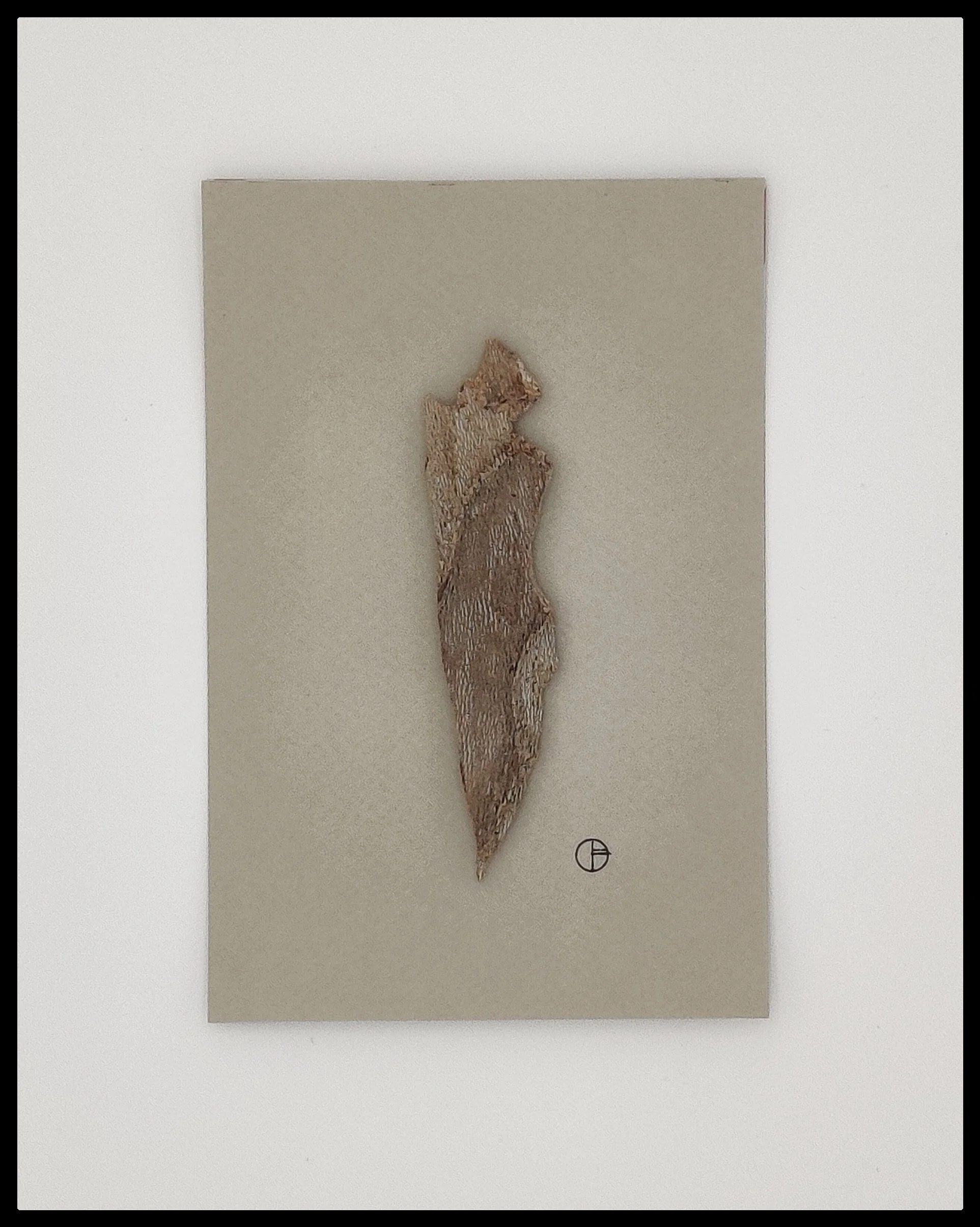 ECLECTIC "DOUCEUR DE CALATAS "