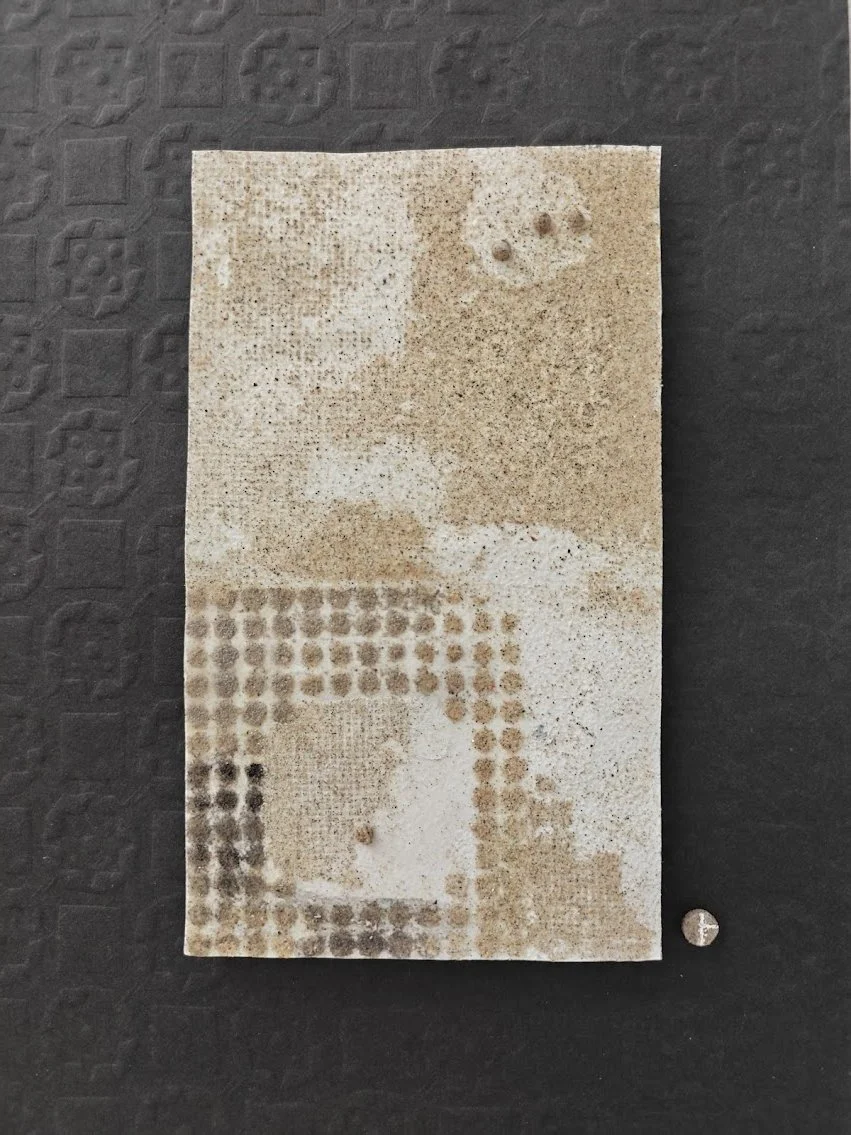 "ECLOSION IMPARFAITE"     CoLD. 22439                                                 29.7 X 21 X 2 CM    