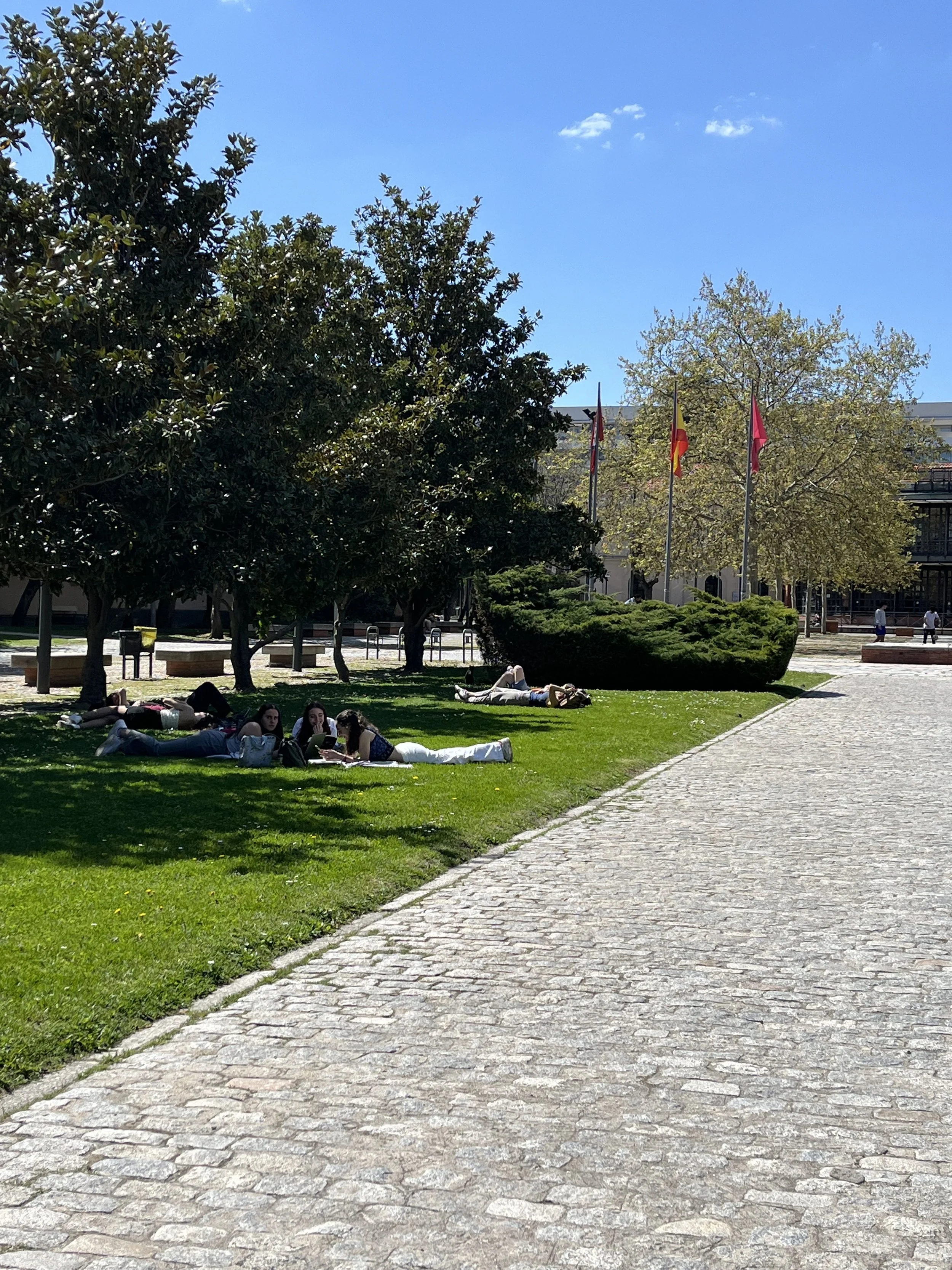 Students lounge near the trees on the grass at a university in Spain. The Spanish flag, the Madrid city flag, and the Community of Madrid flag are fying on the flagstaffs in the background