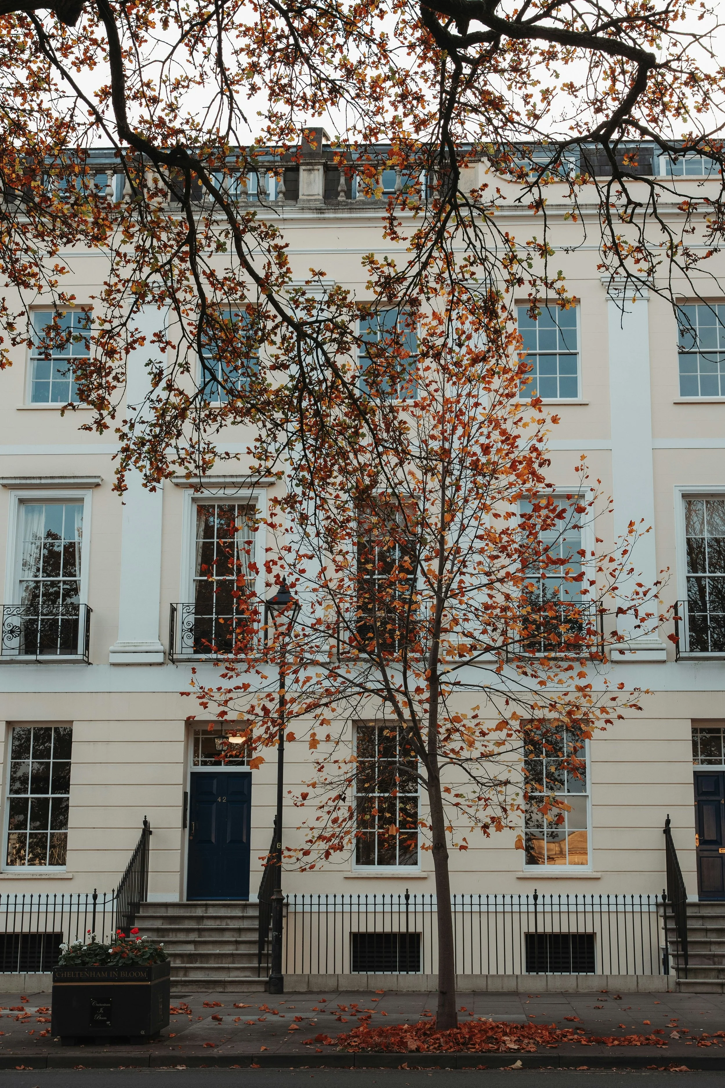 A classic cream-colored London townhouse with large windows and black iron railings, framed by a tree with orange autumn leaves.