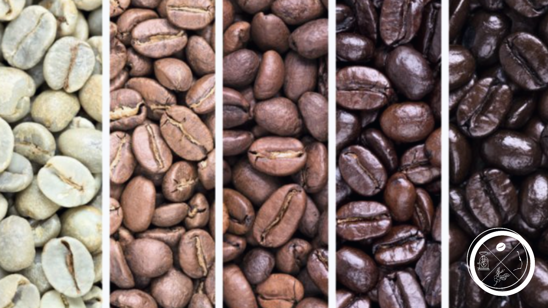 fresh roasted coffee roast levels