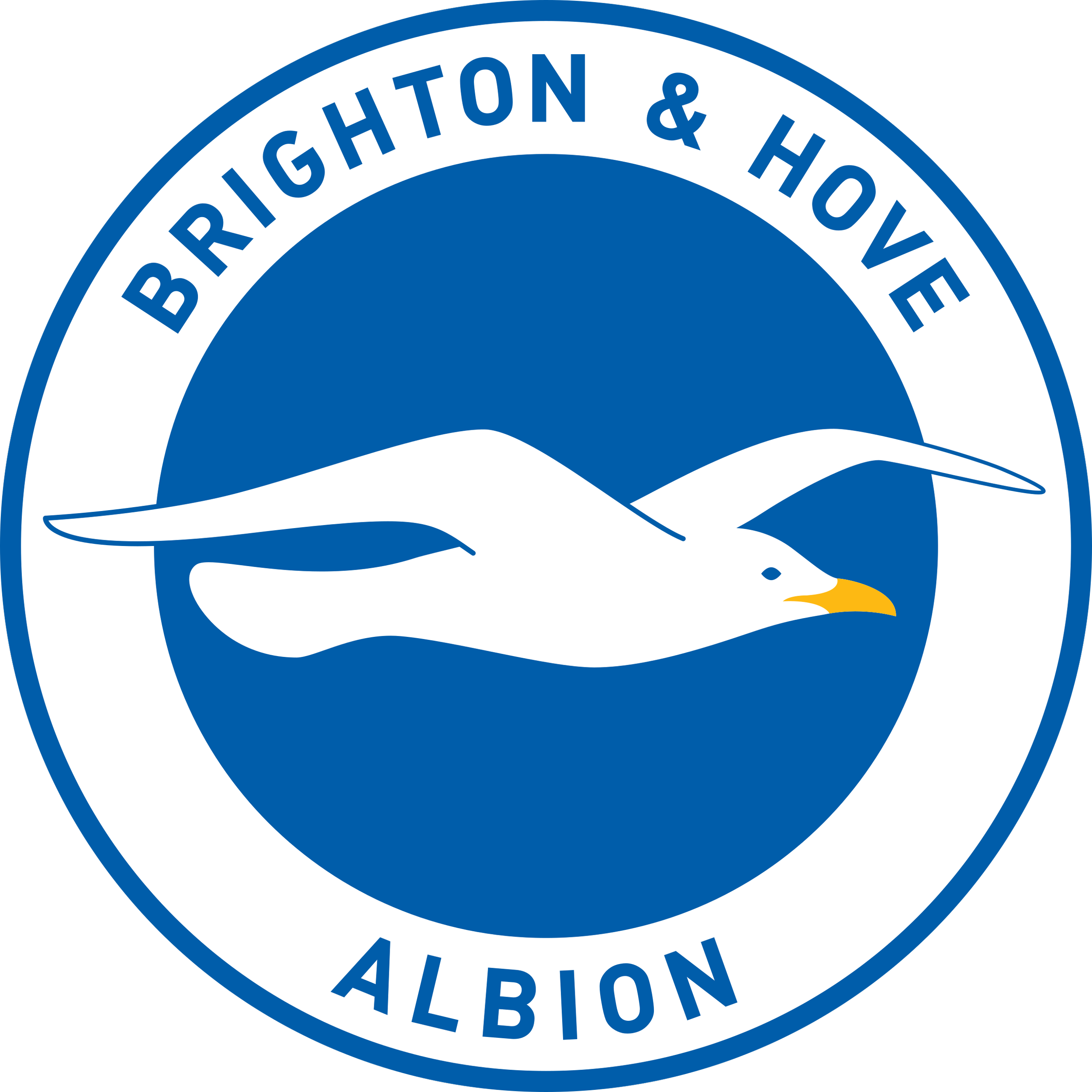 Emblem des Brighton & Hove Albion Fußballclubs mit einem fliegenden Seagull in Blau und Weiß, umgeben von einem weißen Kreis mit blauer Umrandung, auf dem die Worte "Brighton & Hove Albion" stehen.