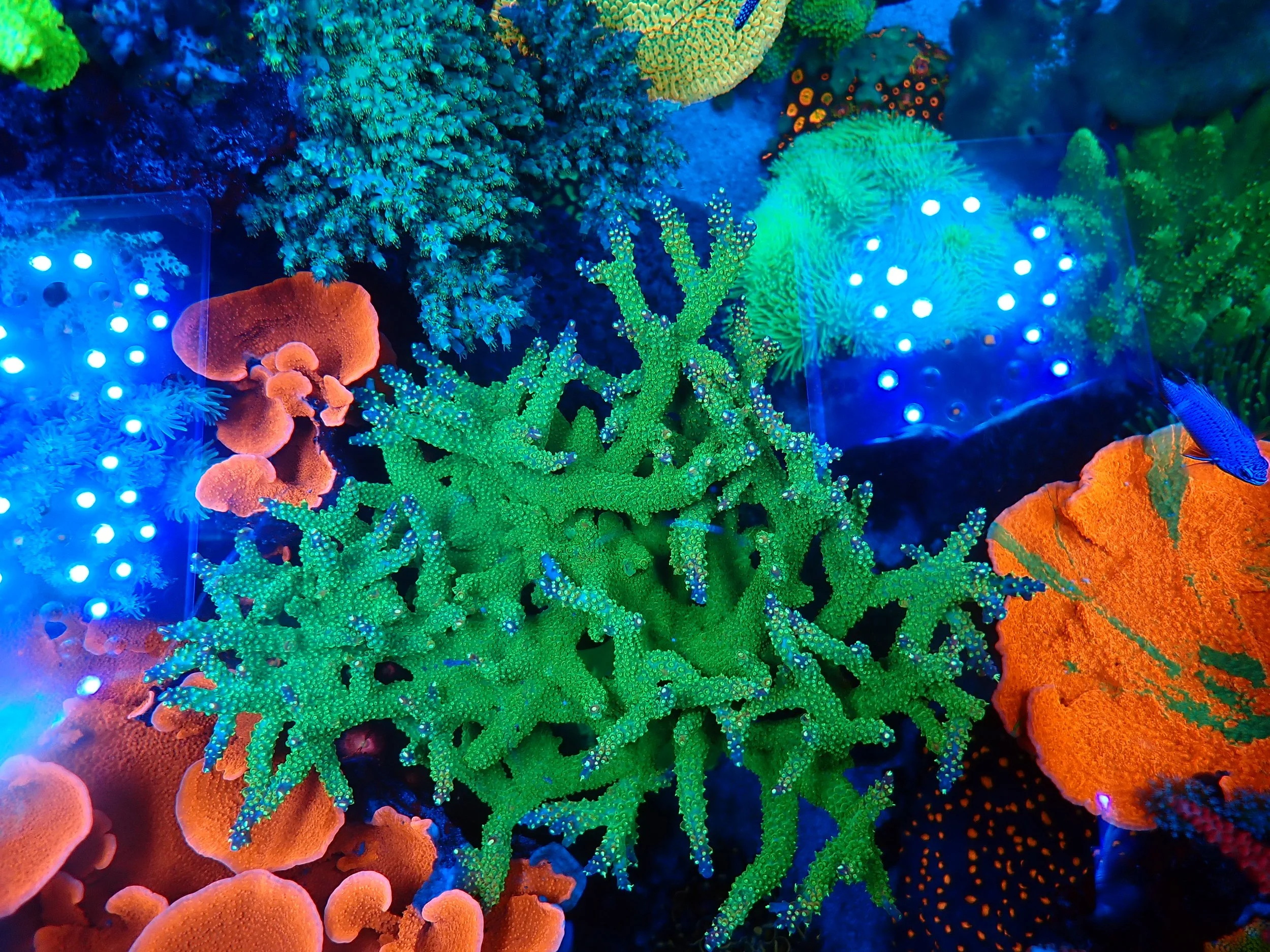 P1160065.JPG
