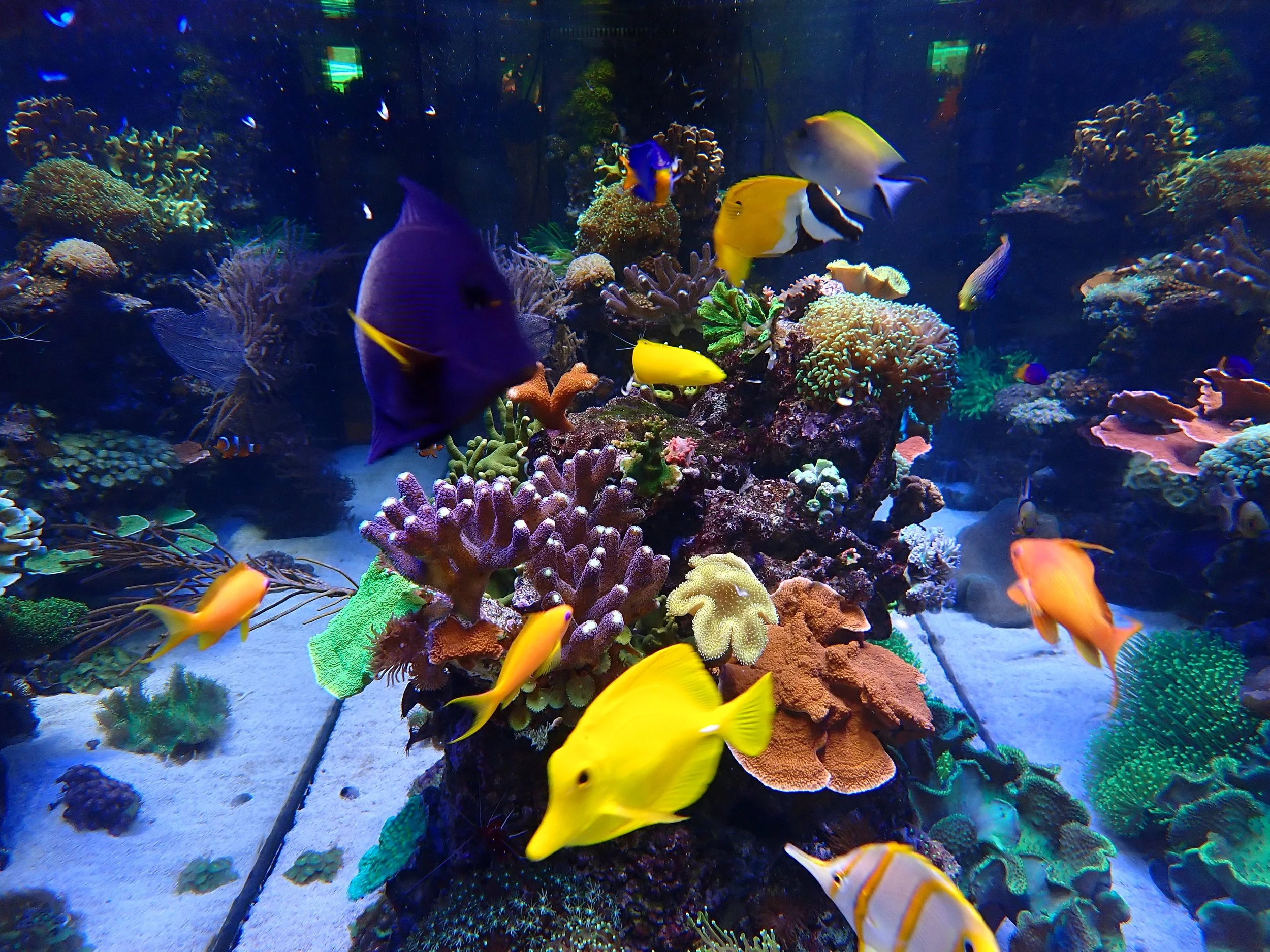 P5050042.JPG