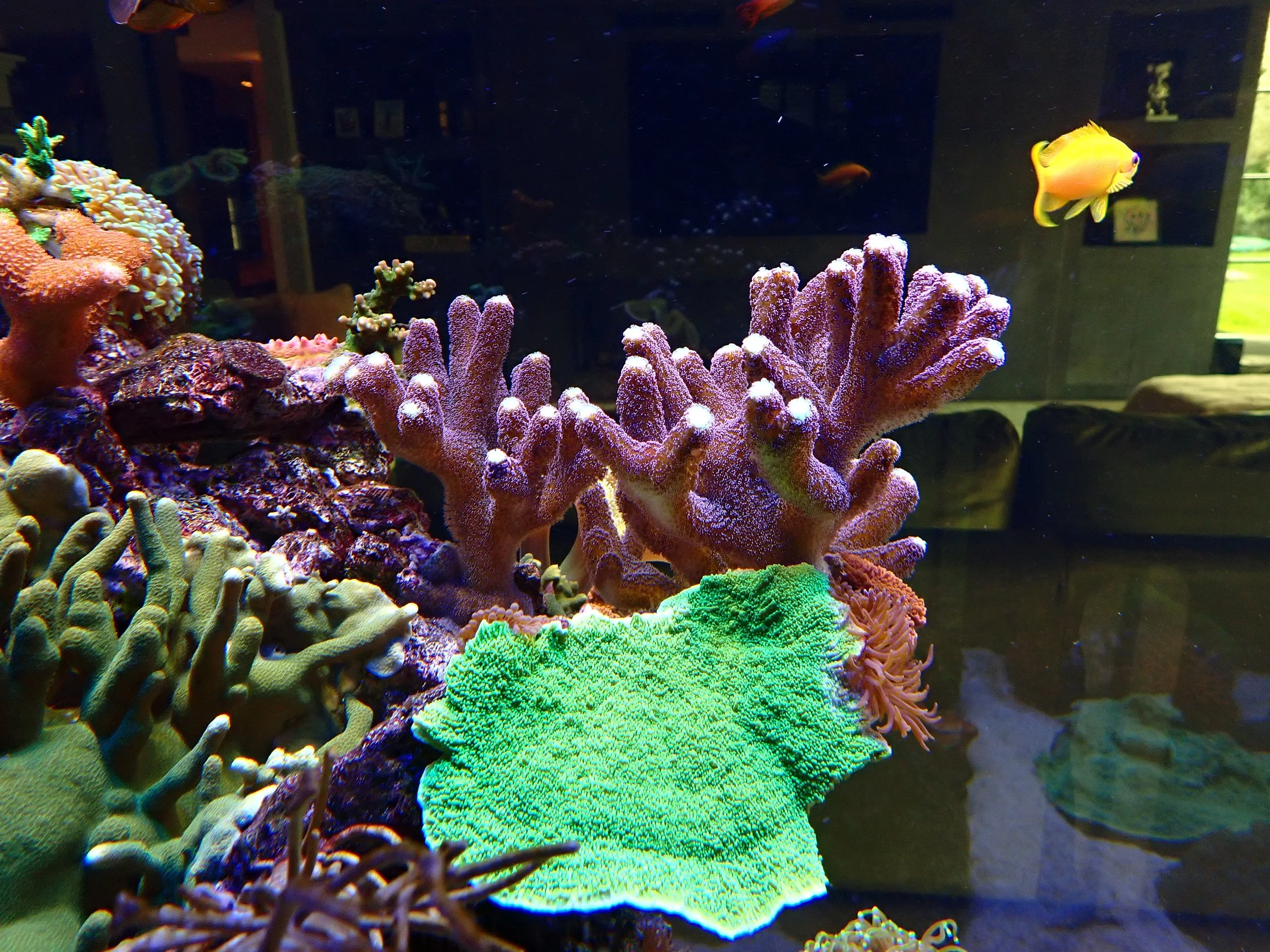 P5050016.JPG