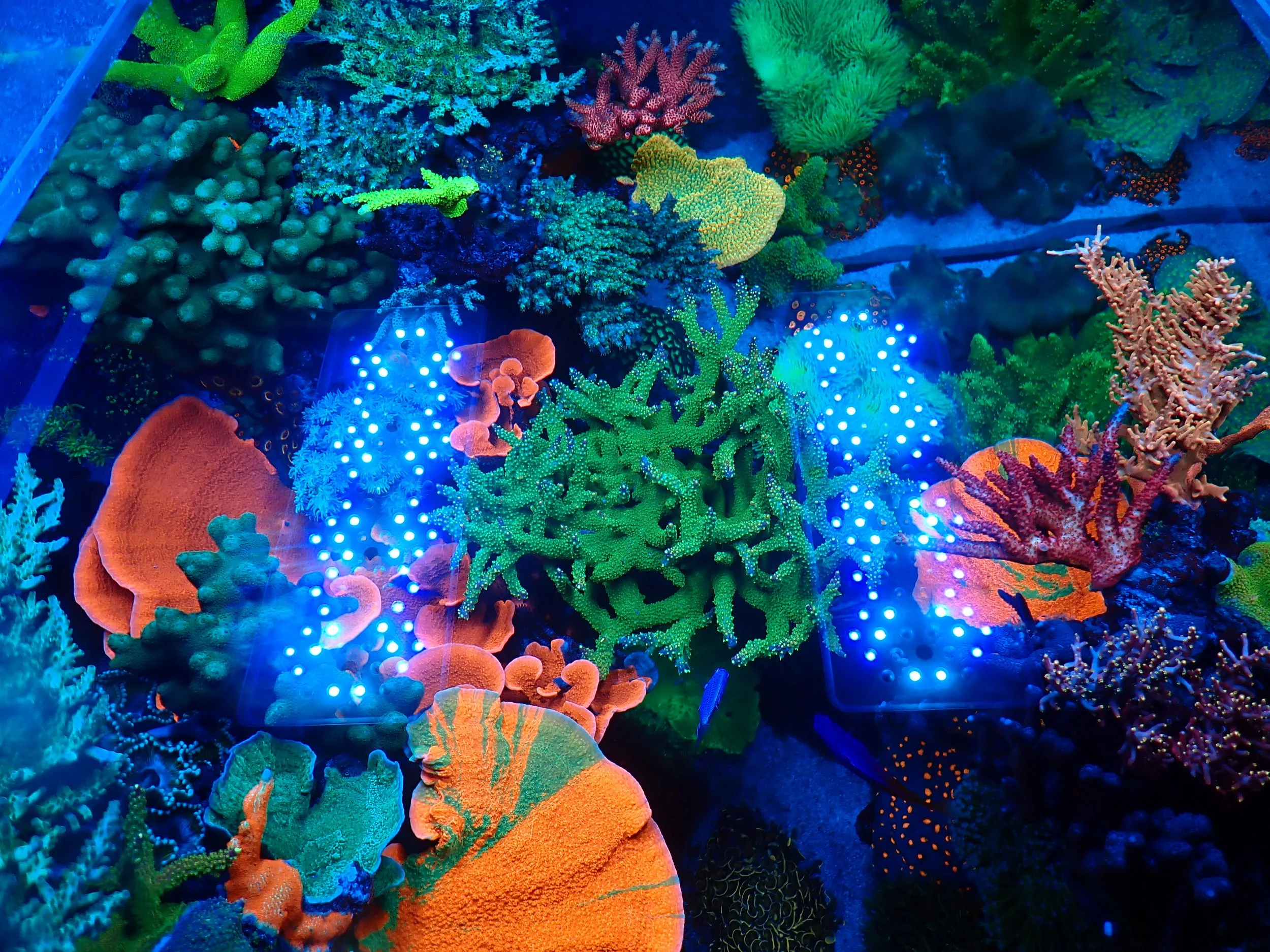 P1160061.JPG