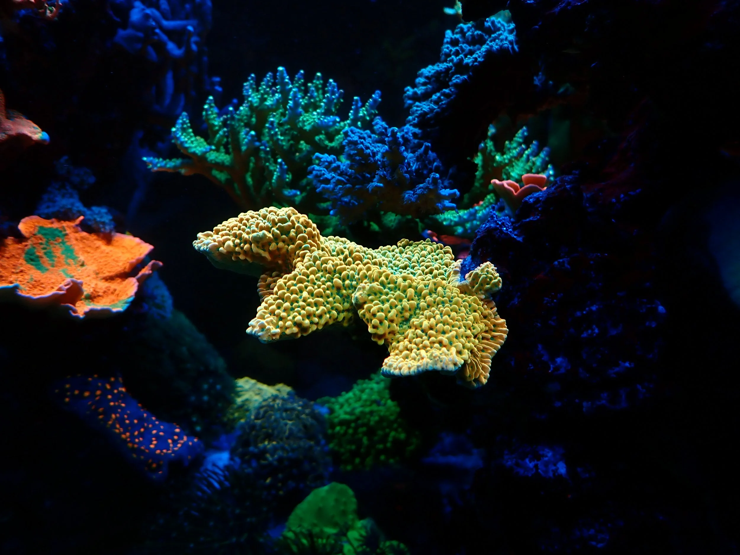 P1160019.JPG