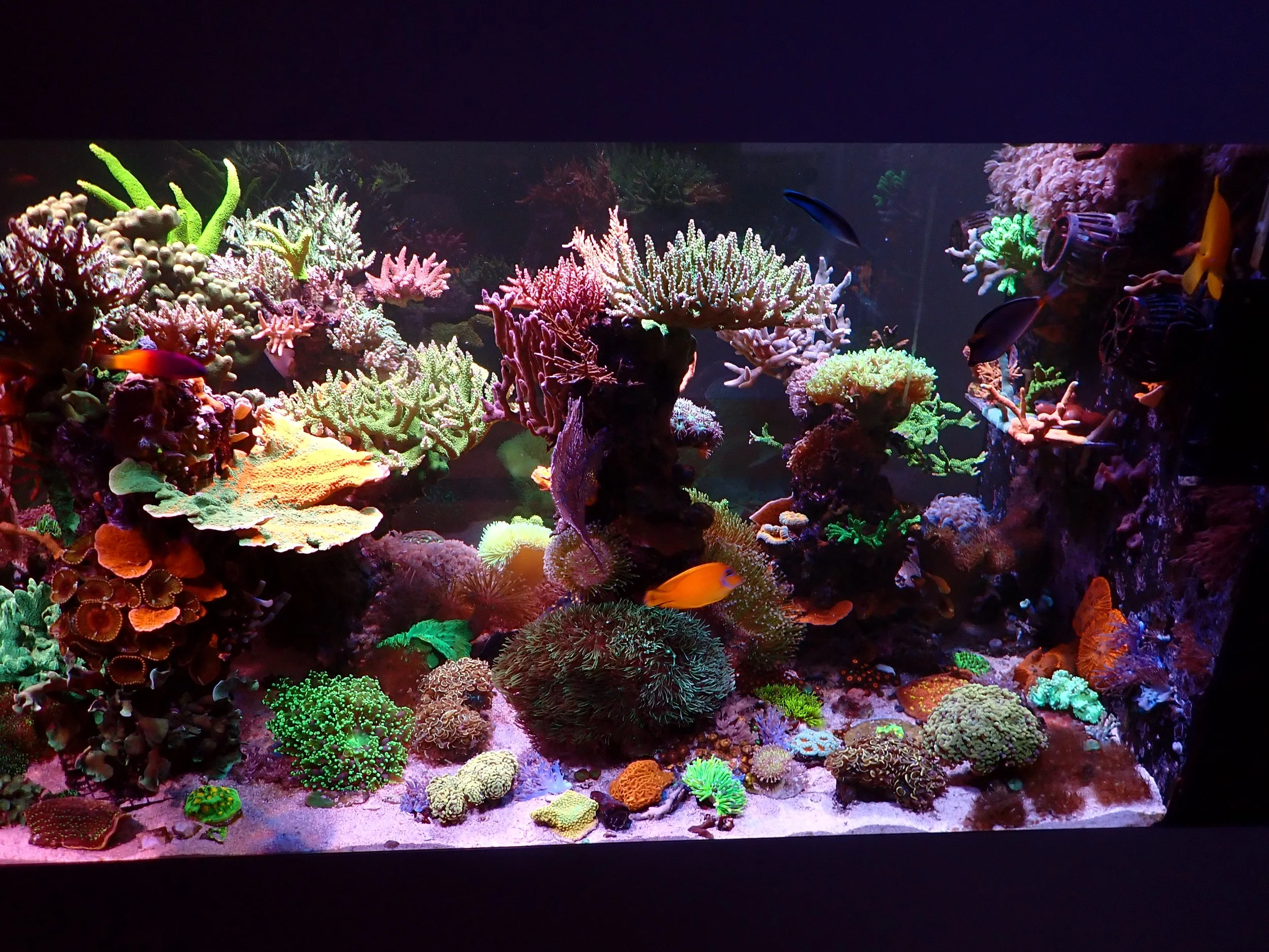 P1160182.JPG