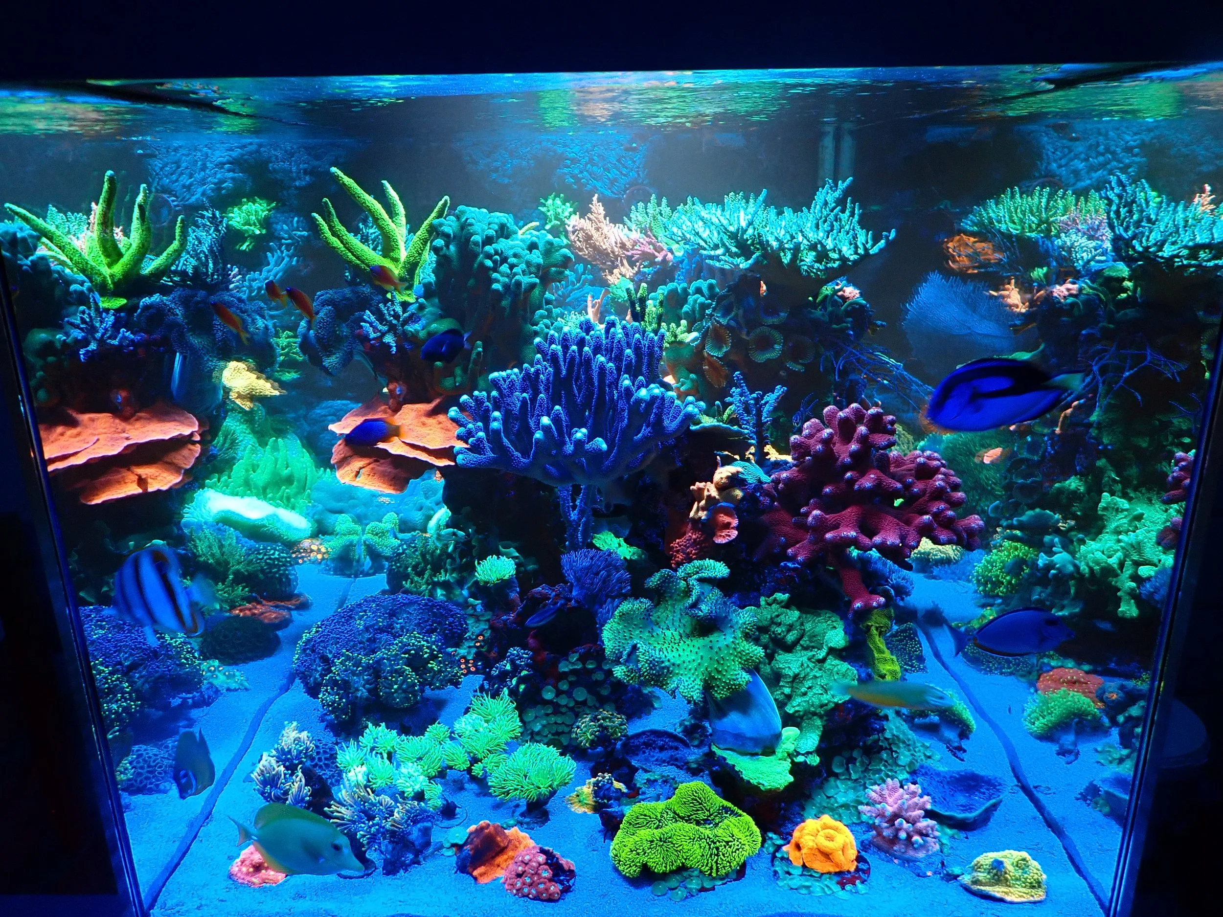P1160001.JPG