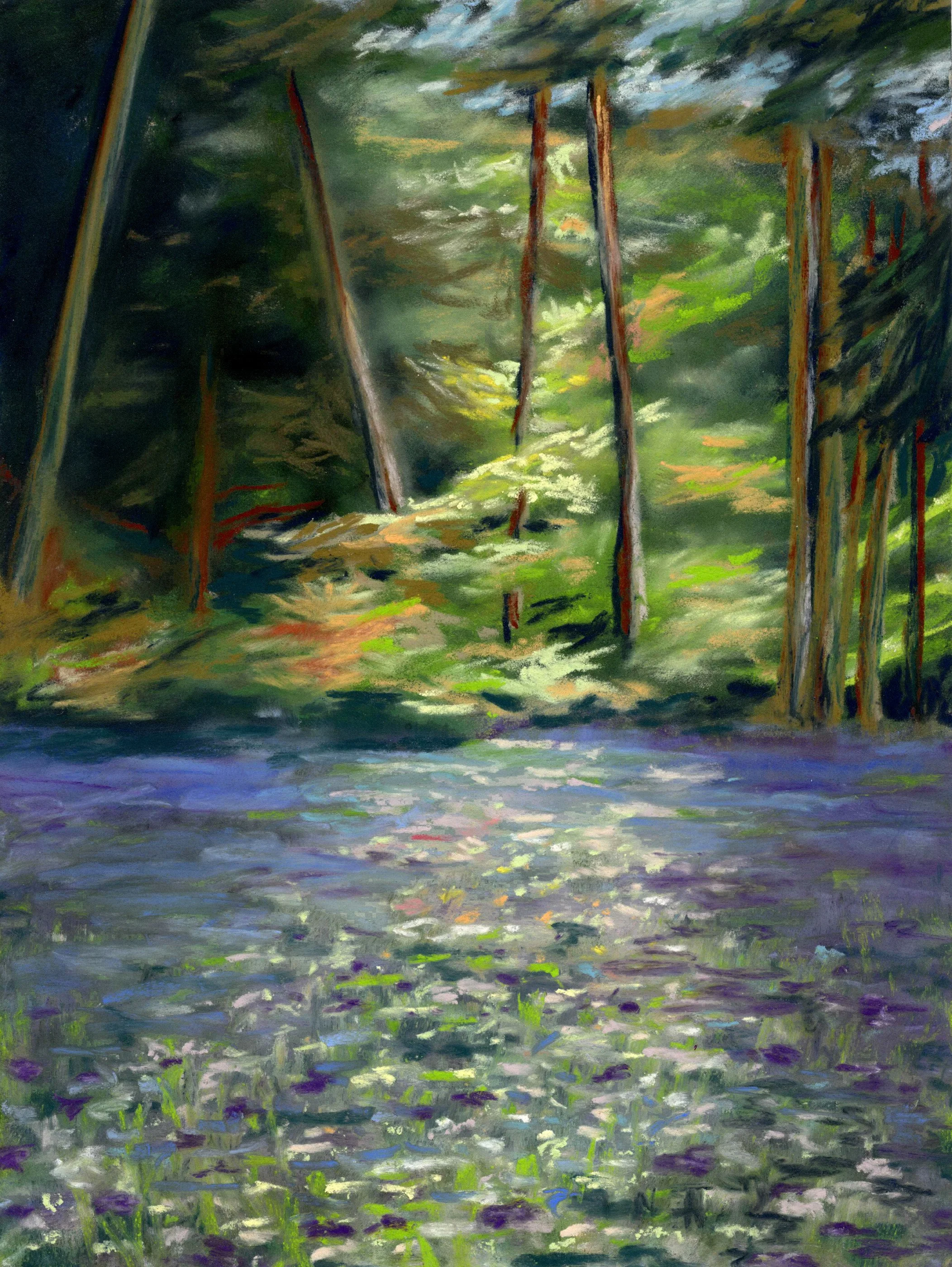 Bluebell Forest Sunlight