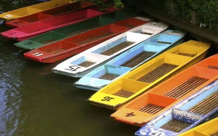 Colorful boats docked on a river, with paddle sticks inside each boat.