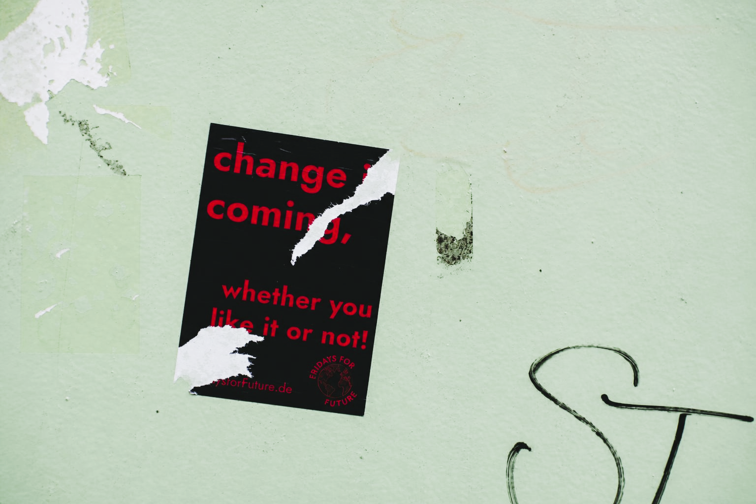 Outgrowing the Roles That Once Defined Us