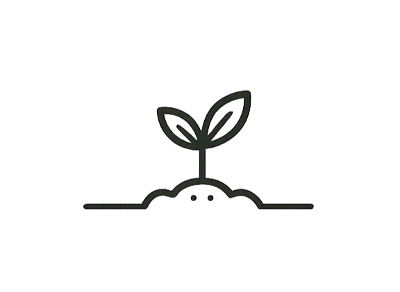 plant representing growth and evolution with coaching