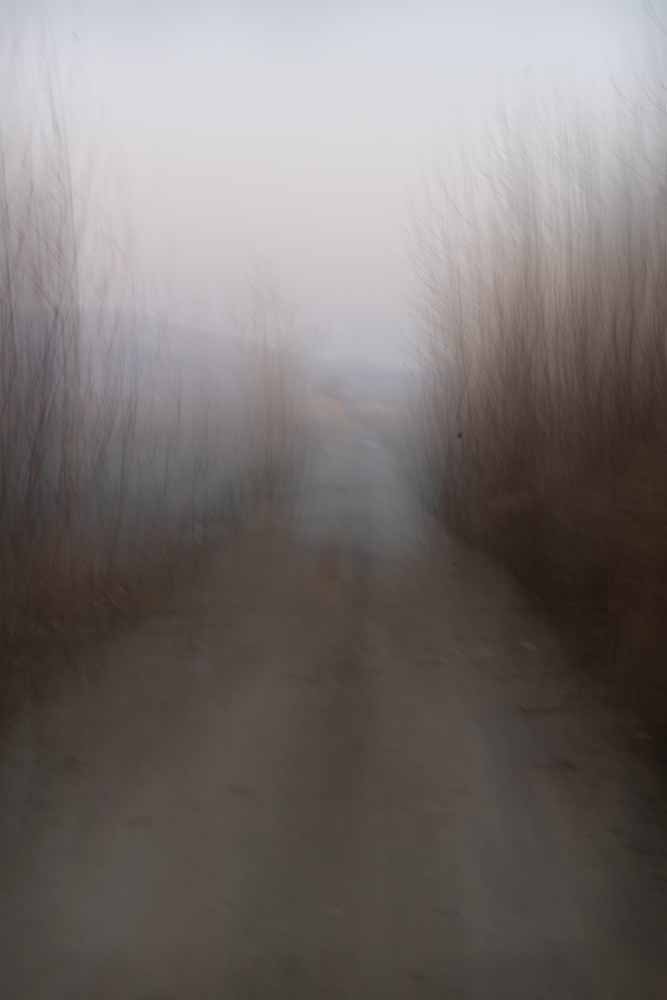 Fading Memories  1000x 72dpi 435A0297.jpg