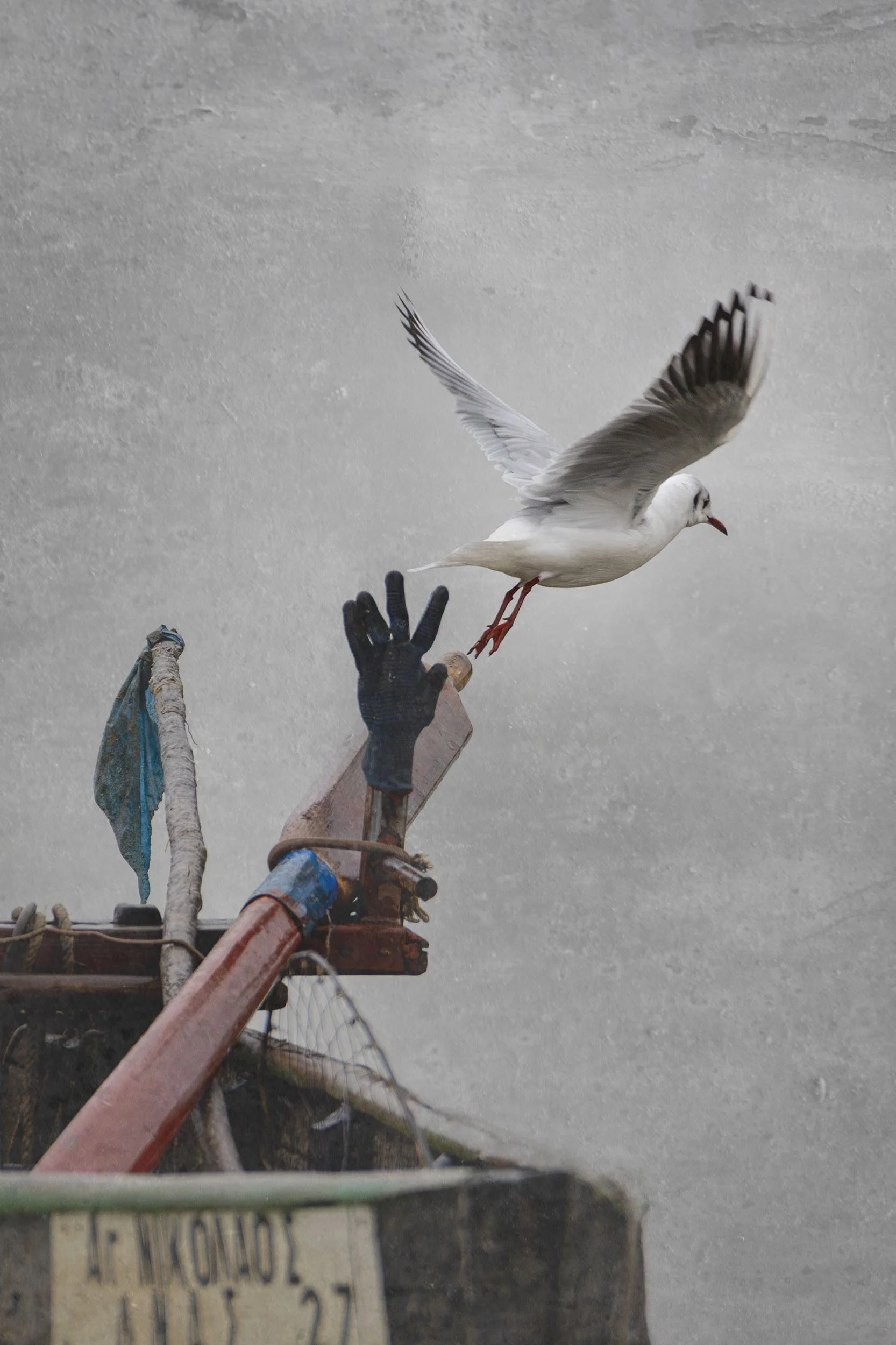 435A2964-1 glaros peta anachorisi.jpg