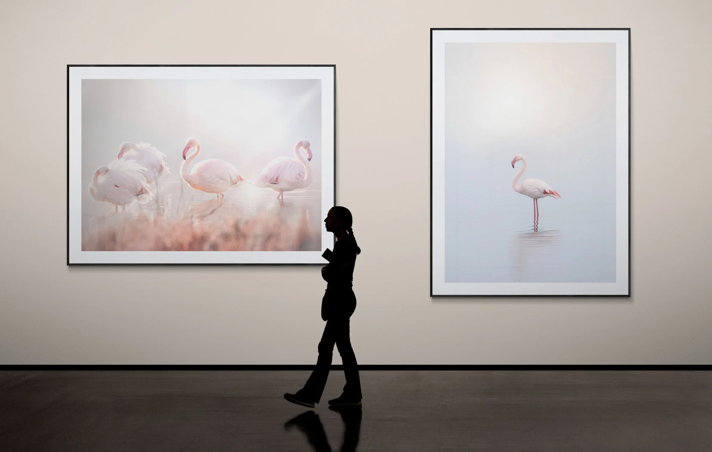 A person in silhouette viewing two large flamingo photographs on gallery walls. The left photo shows four flamingos resting in shallow water, with soft lighting. The right photo features a single flamingo standing in water, with a calm, misty backgro