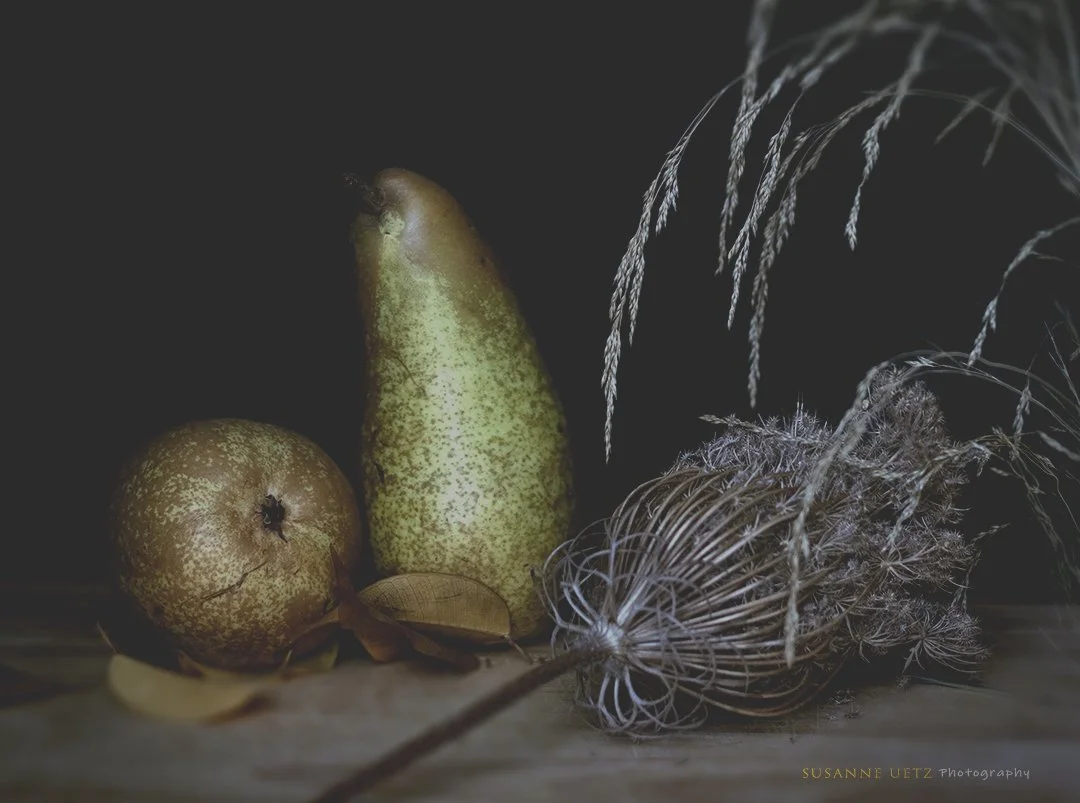pears still life 2.jpg
